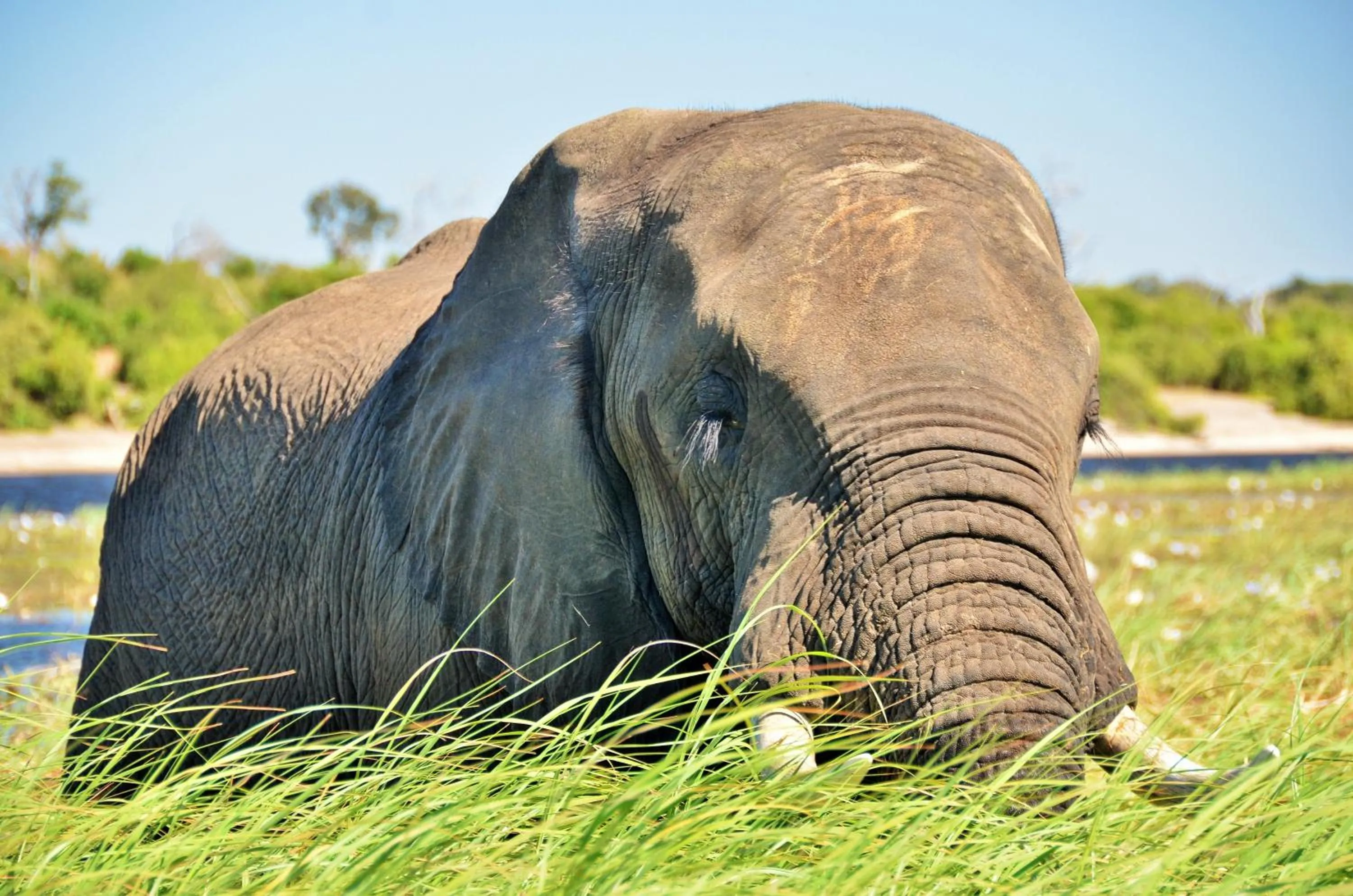 Activities in Thebe River Safaris