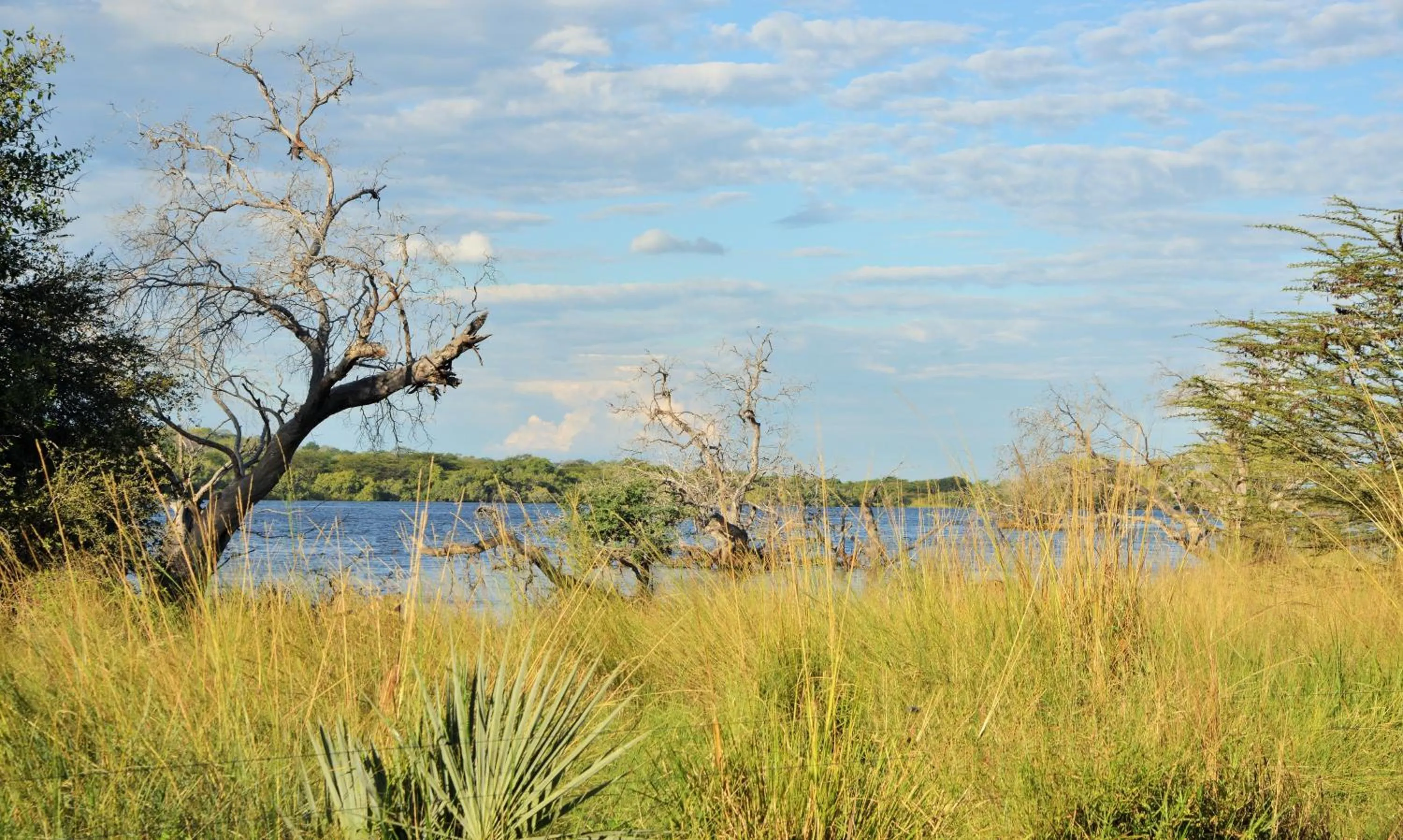 Activities in Thebe River Safaris
