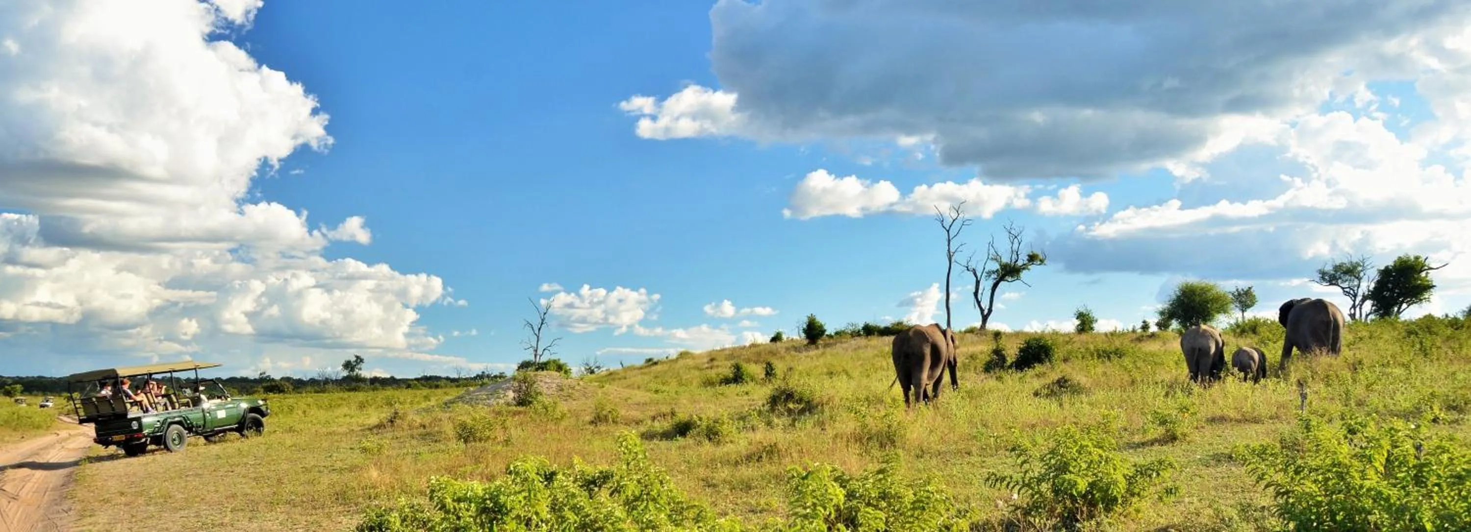Activities in Thebe River Safaris