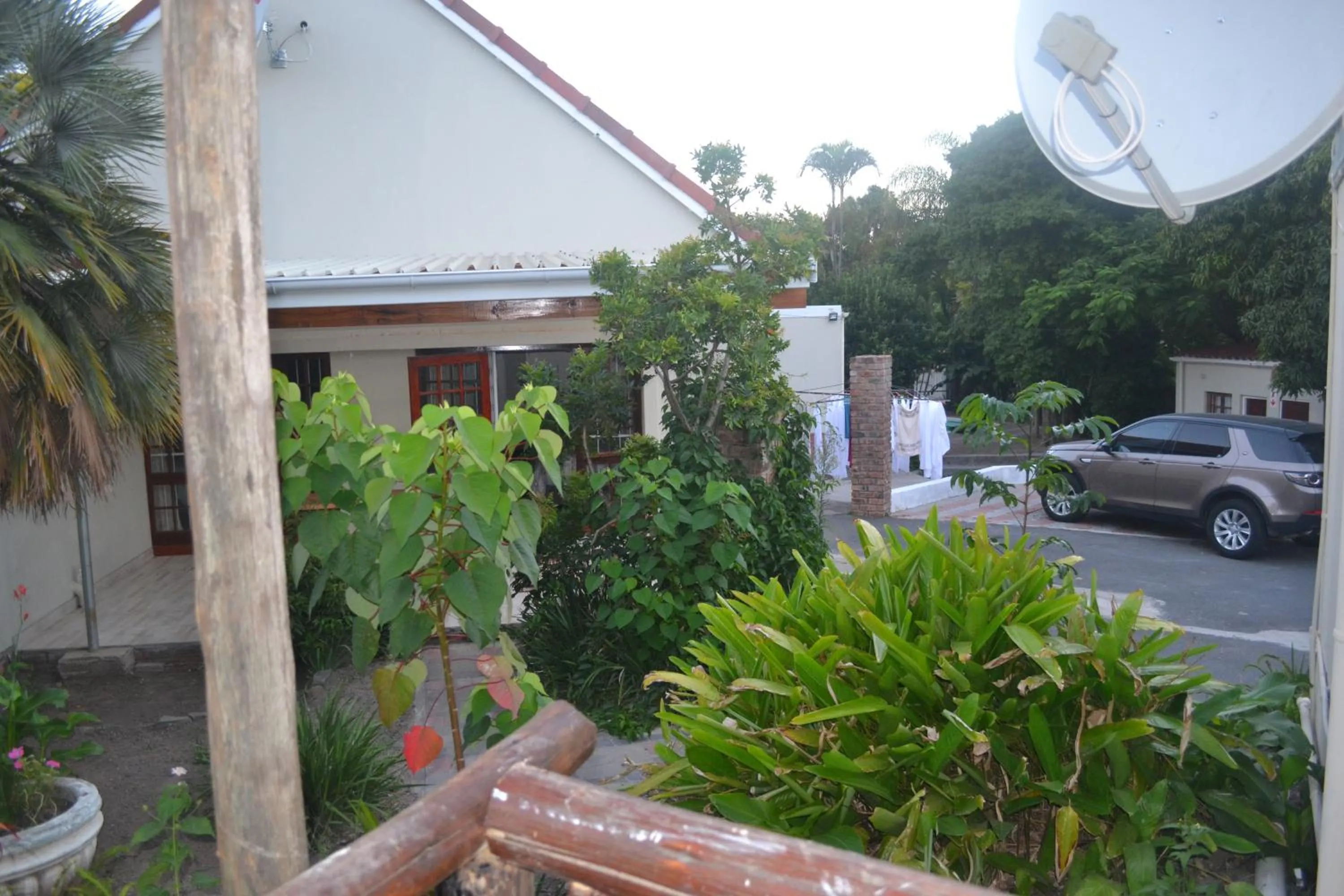 Cycad Lodge
