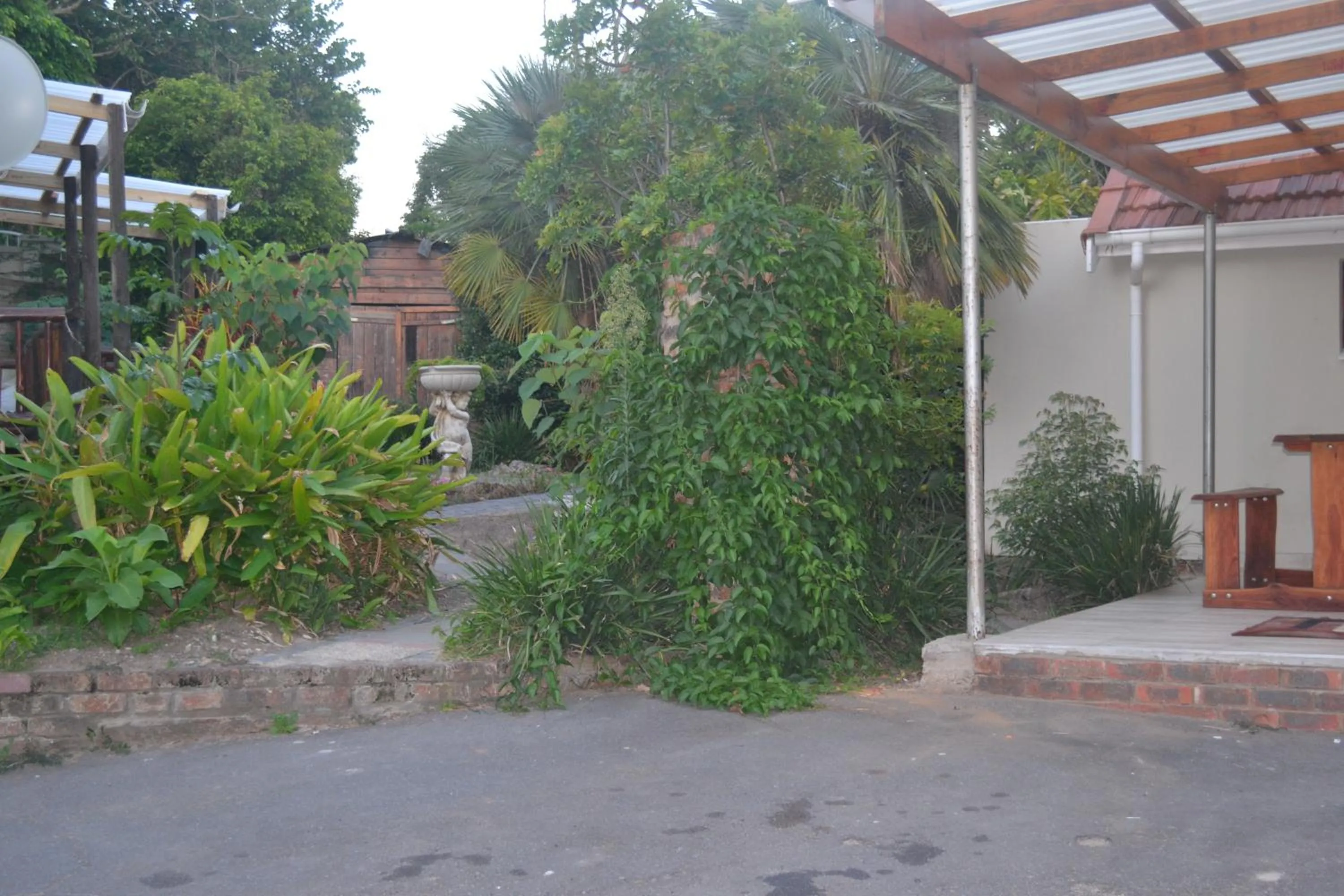 Cycad Lodge