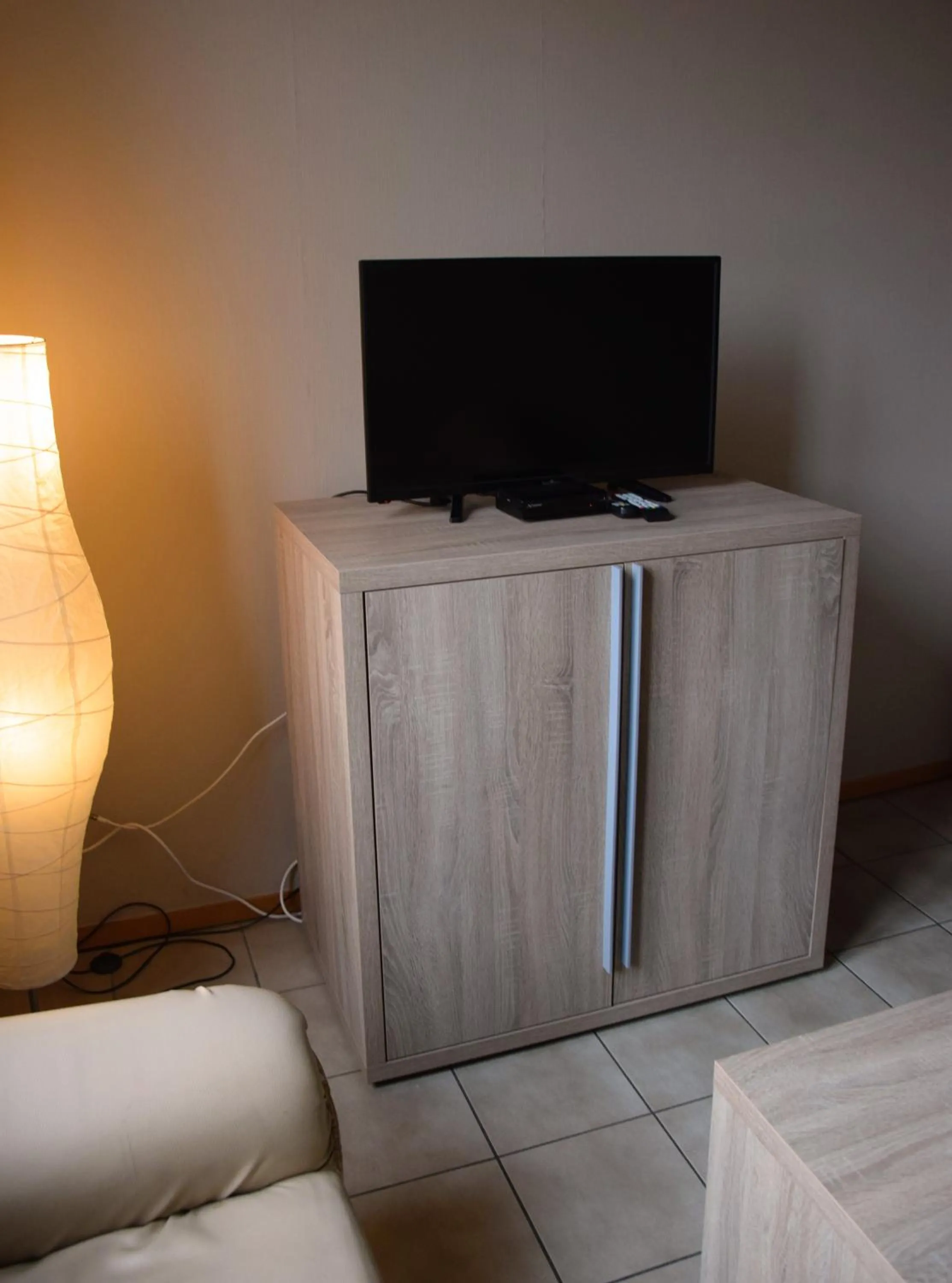 TV and multimedia in Condo Gardens Antwerp