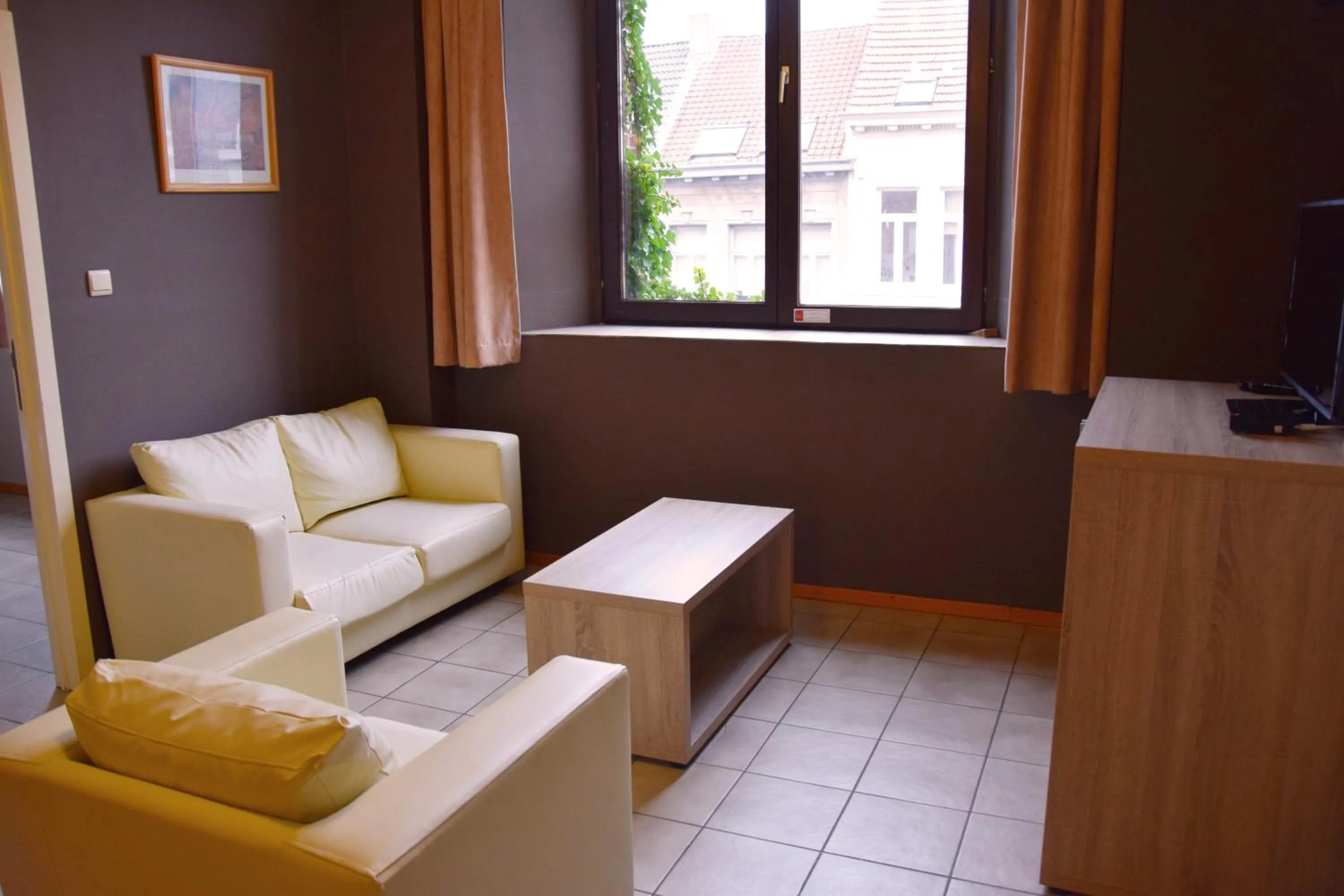 TV and multimedia in Condo Gardens Antwerp