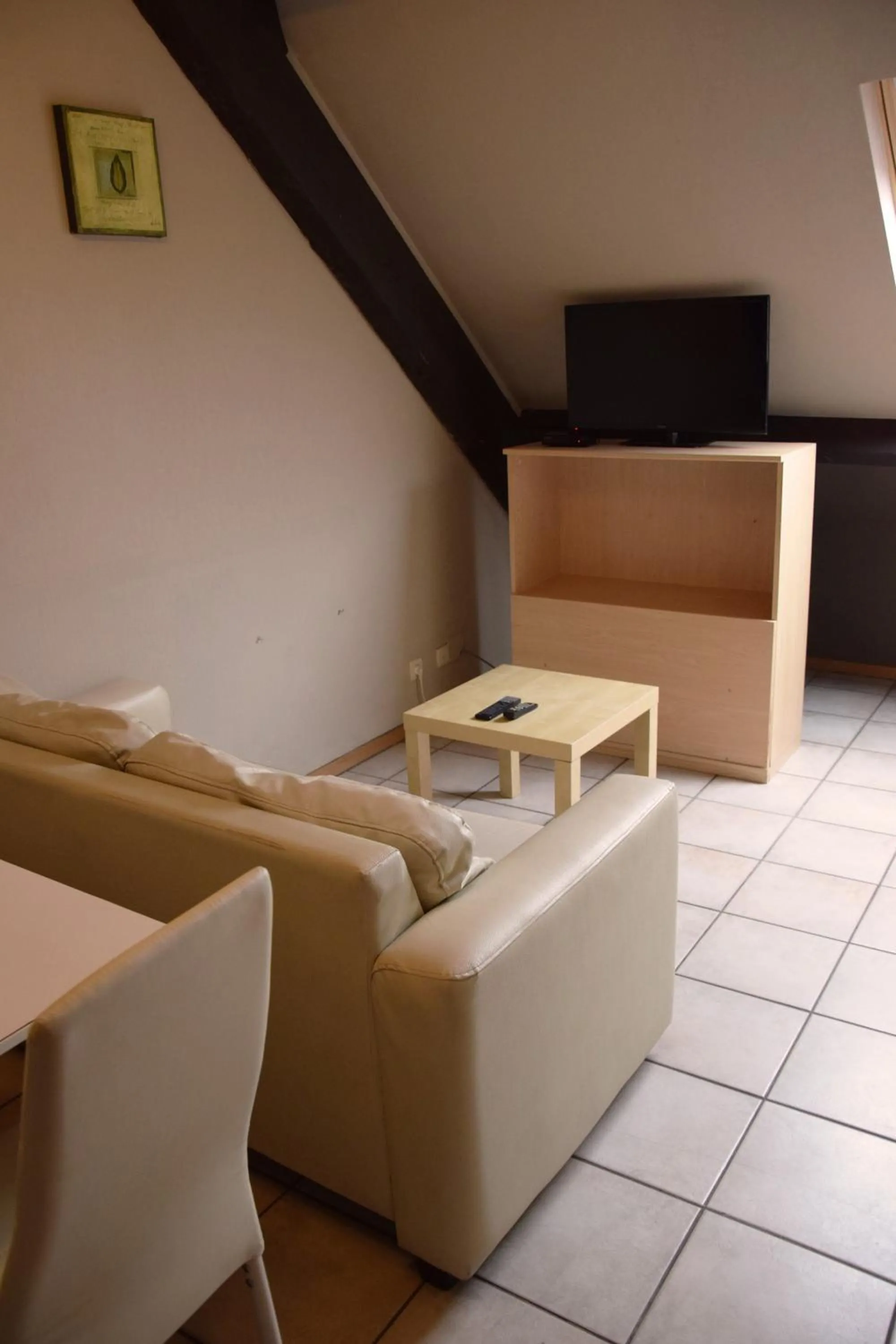 TV and multimedia in Condo Gardens Antwerp