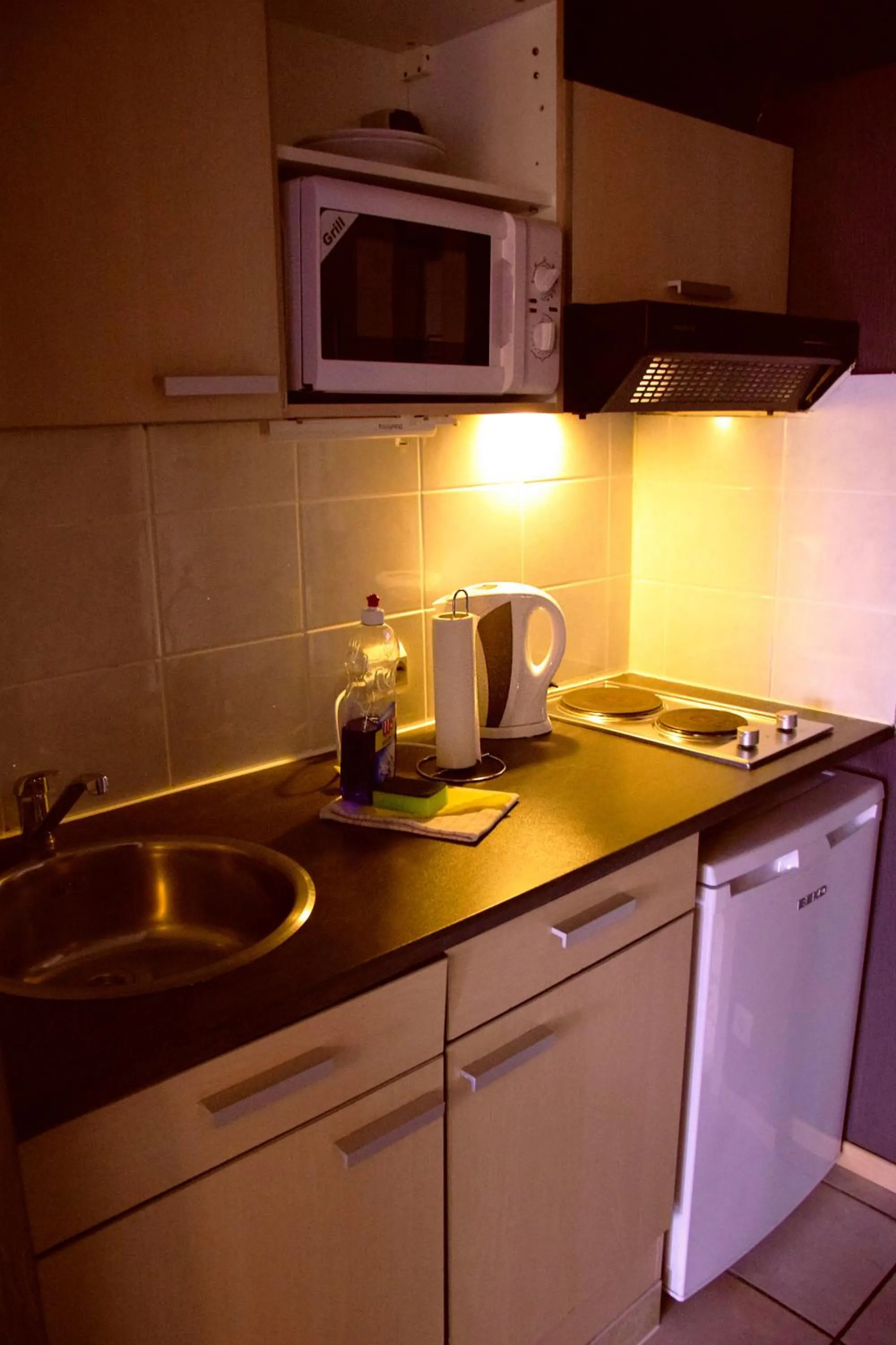Kitchen or kitchenette in Condo Gardens Antwerp