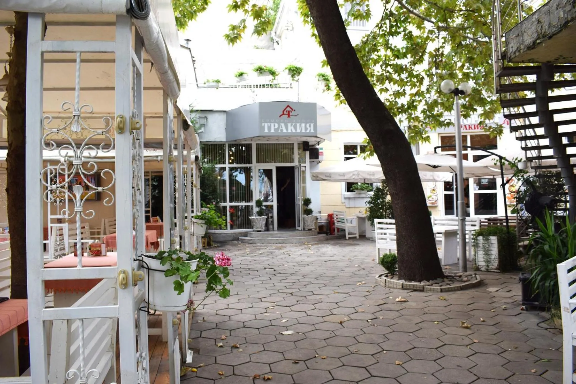 Garden in Hotel Trakia
