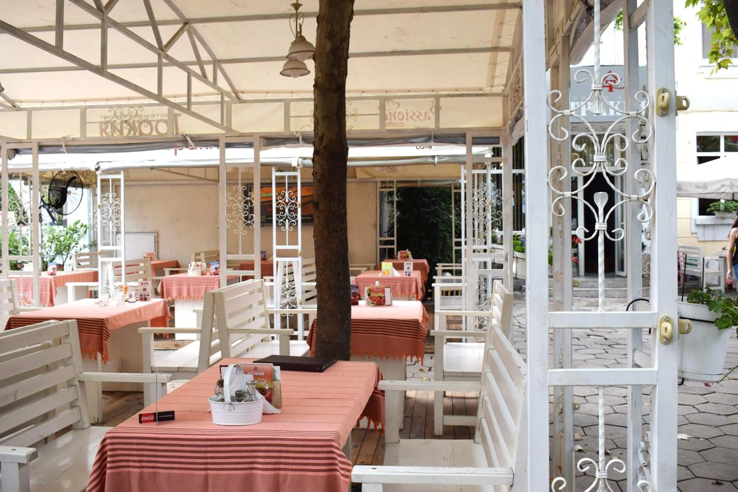 Garden in Hotel Trakia