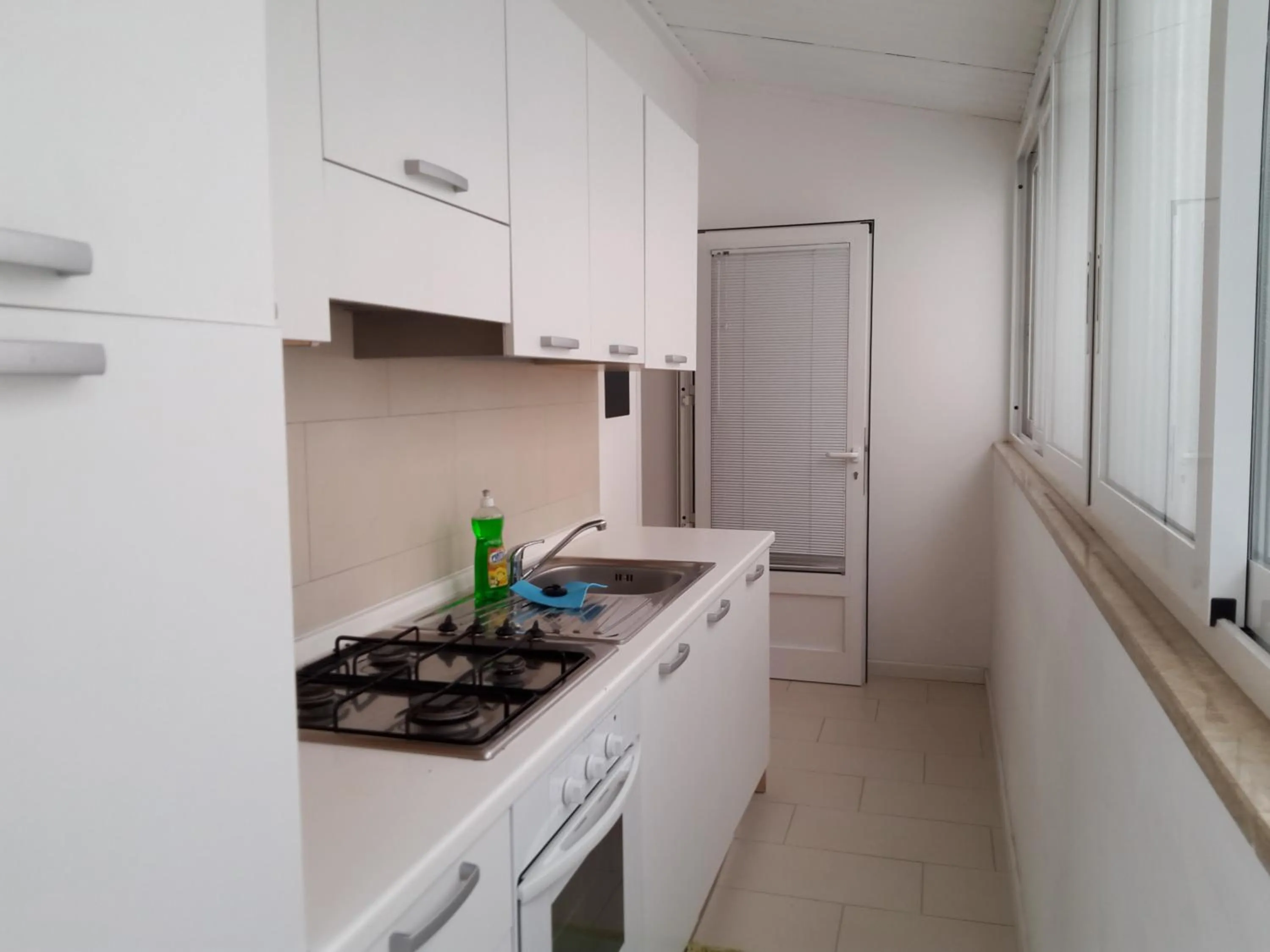 Kitchen or kitchenette in Villa Flora