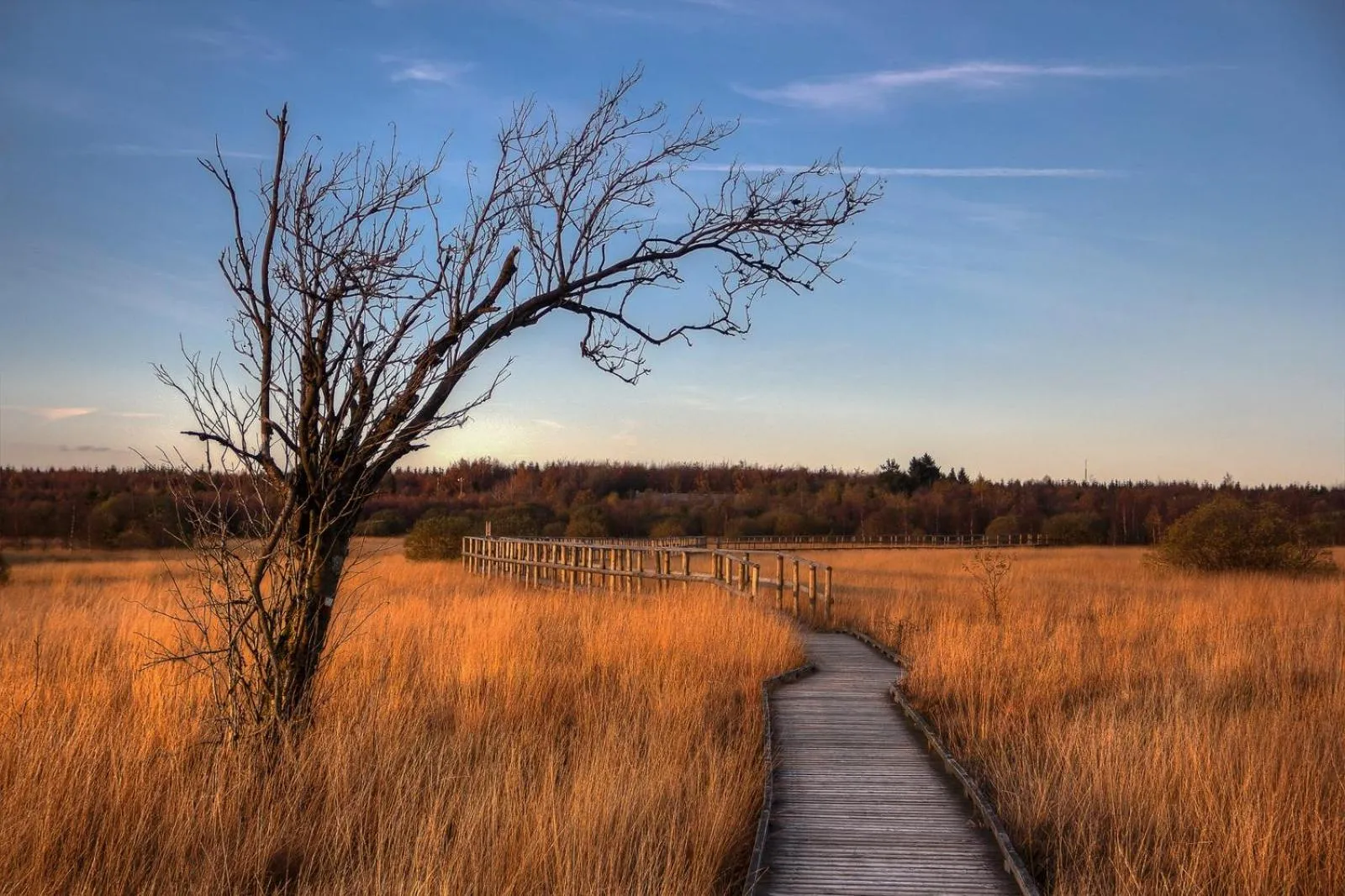 Domaine Des Hautes Fagnes