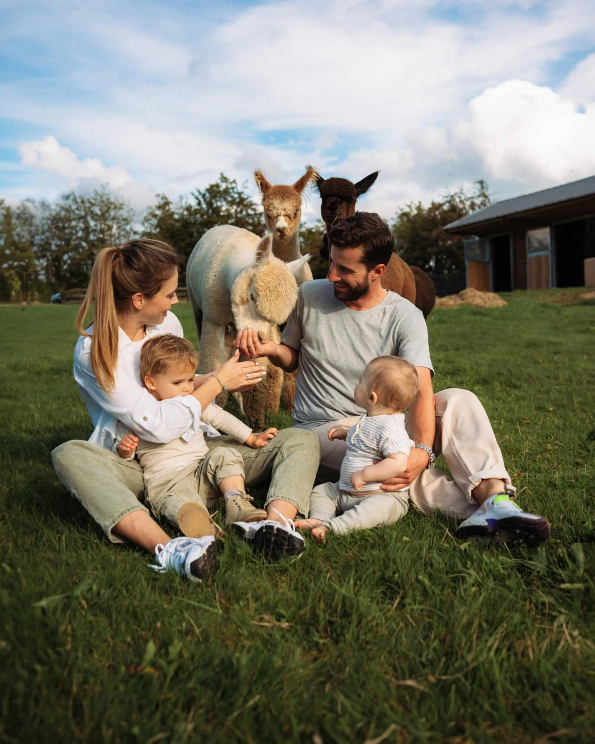 Natural landscape in Domaine Des Hautes Fagnes