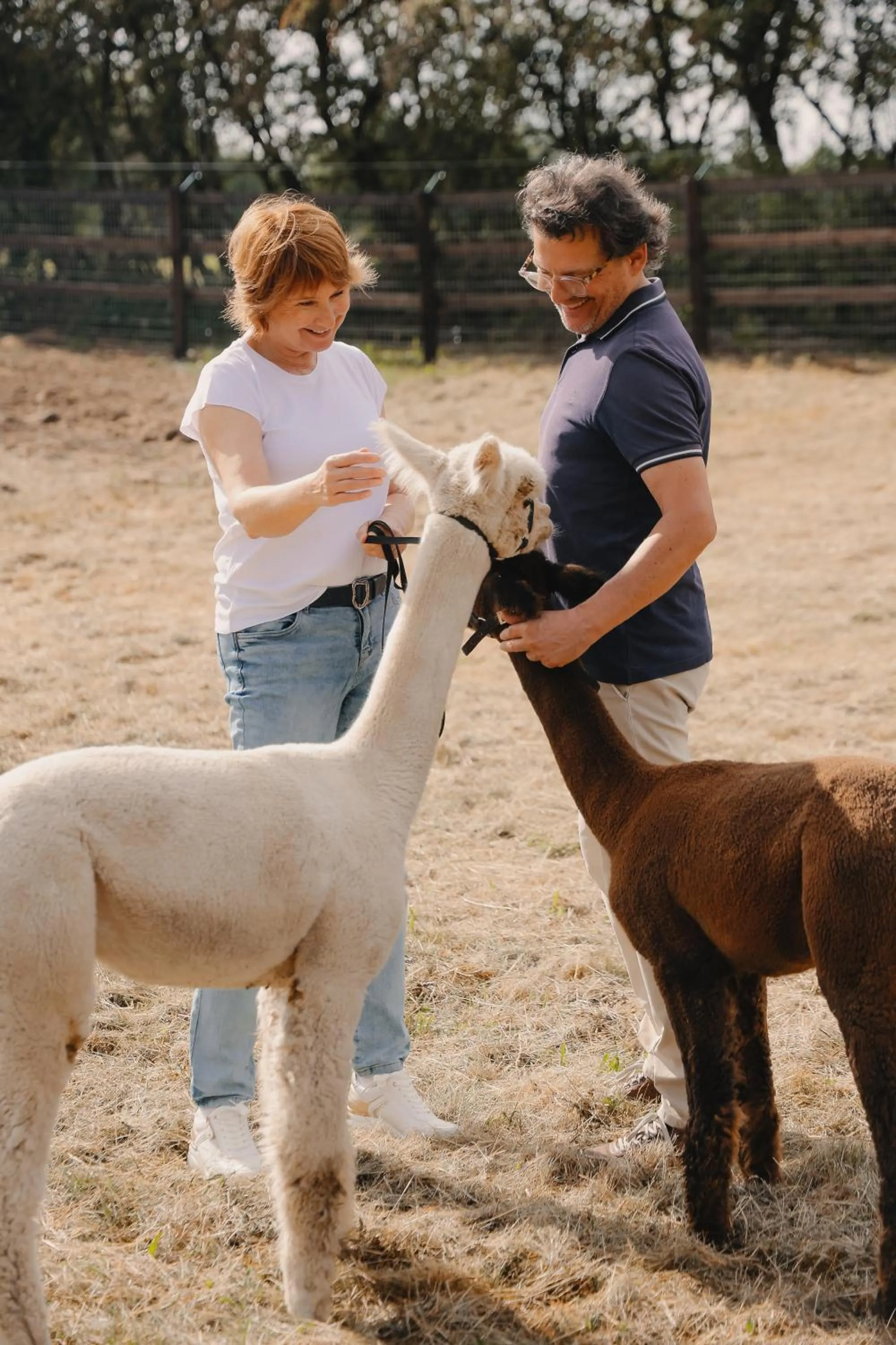 Domaine Des Hautes Fagnes