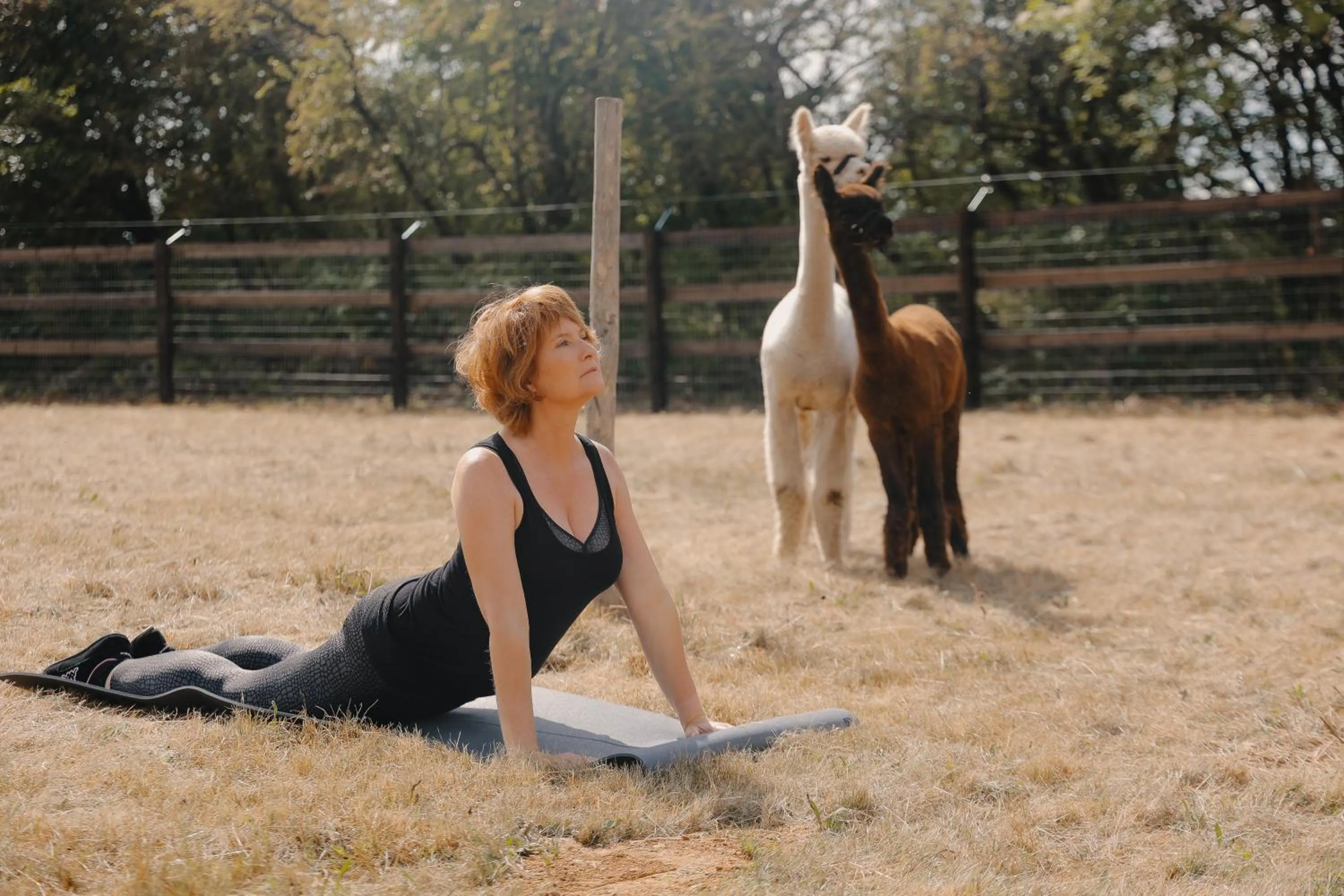 Domaine Des Hautes Fagnes