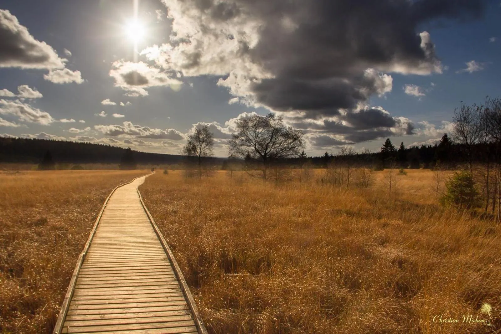 Hiking in Domaine Des Hautes Fagnes