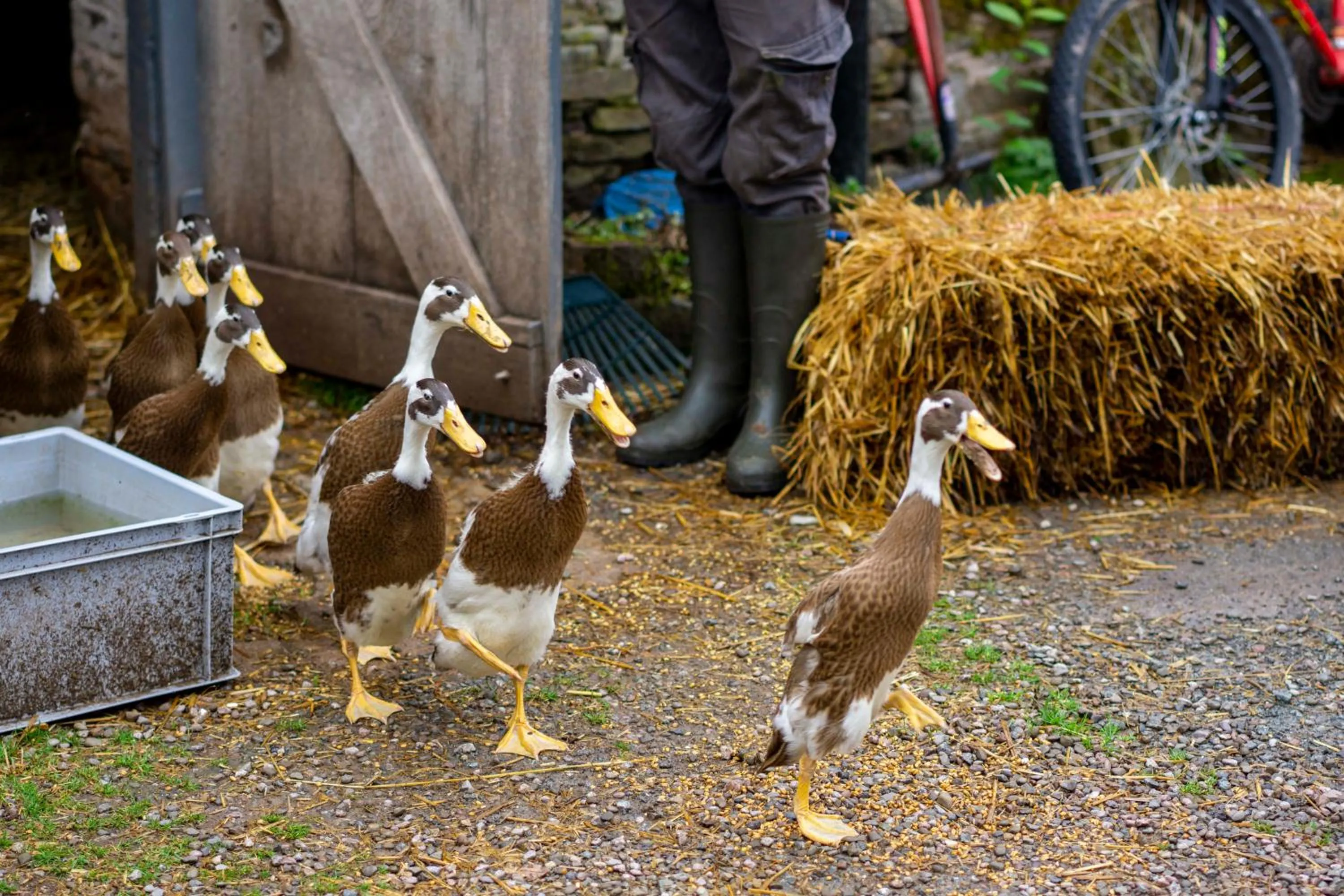 Drovers Rest Farm Stay