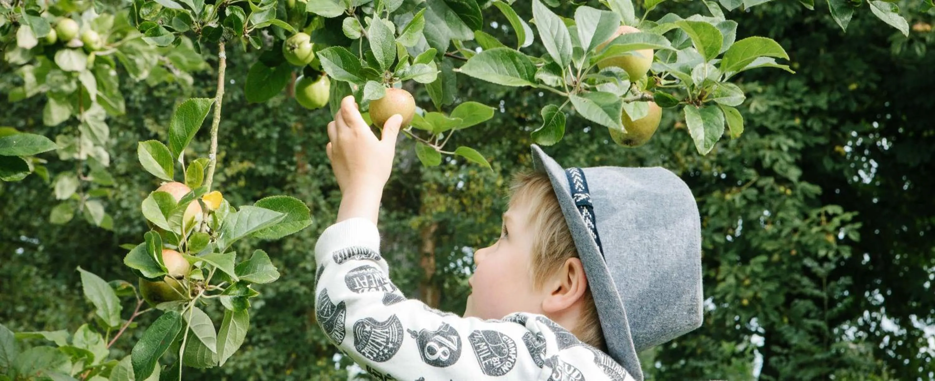 Activities in Drovers Rest Farm Stay