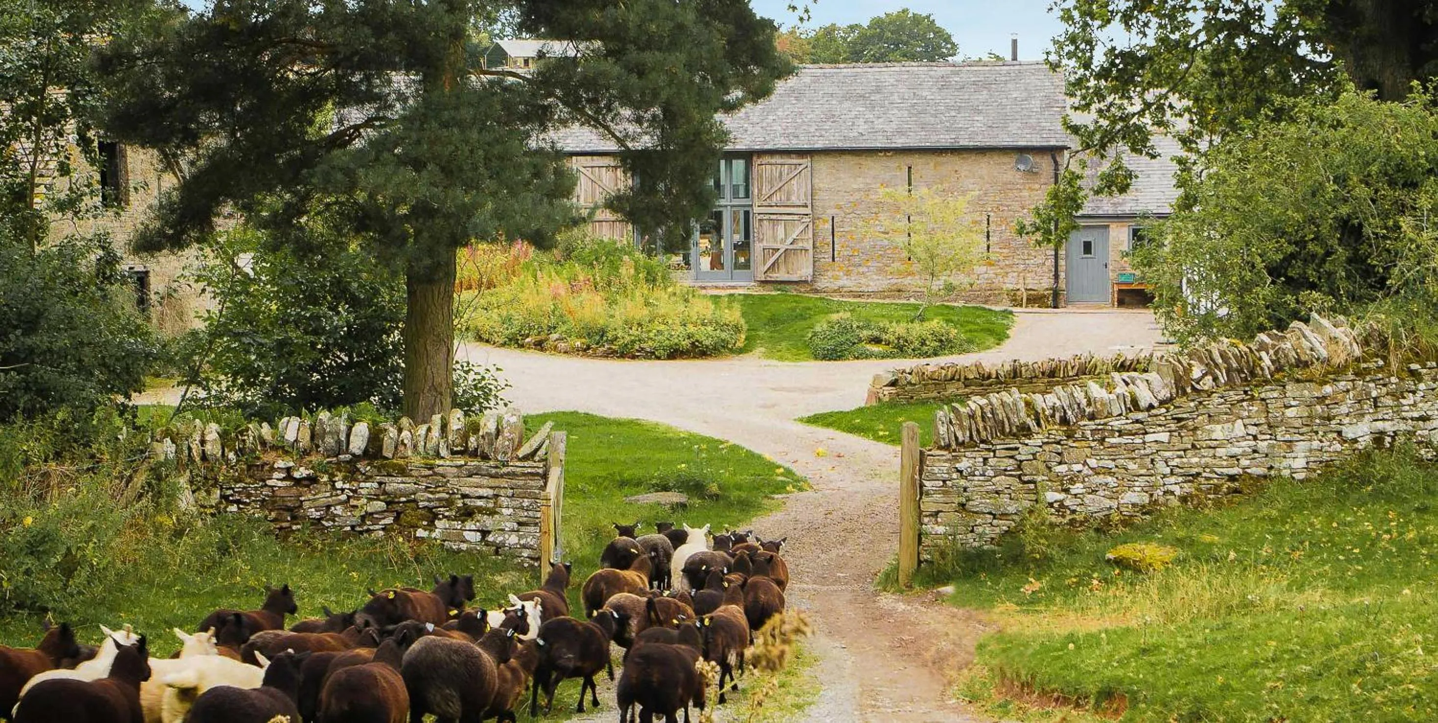 Property building in Drovers Rest Farm Stay