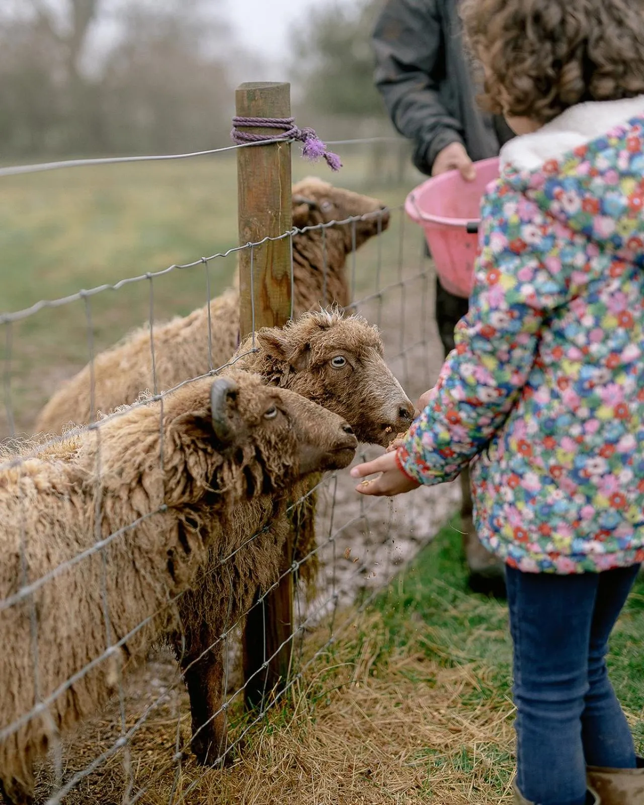 Drovers Rest Farm Stay