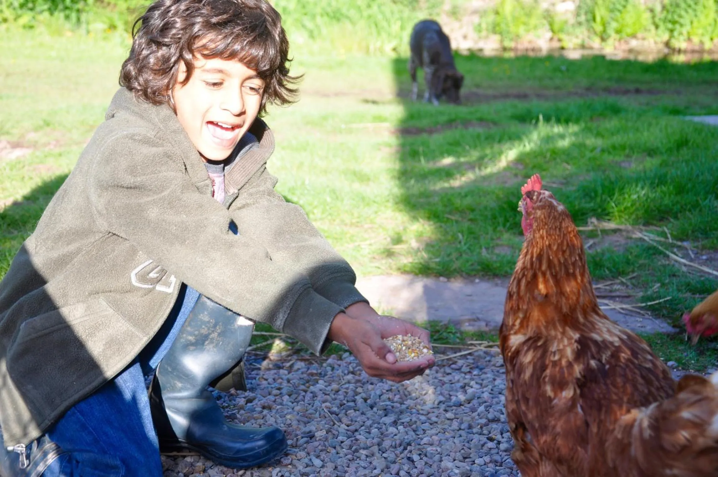 Activities in Drovers Rest Farm Stay