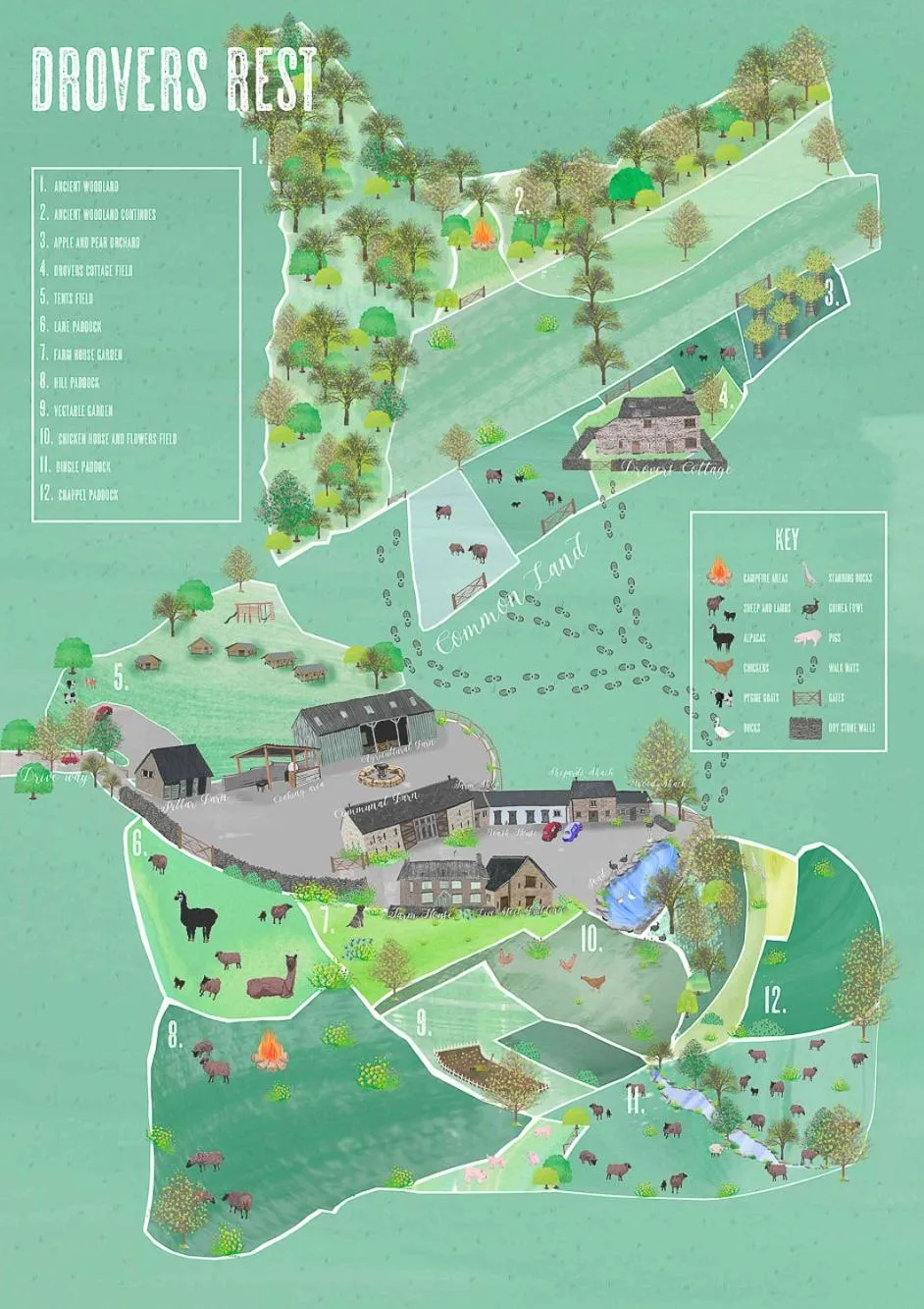 Bird's eye view in Drovers Rest Farm Stay