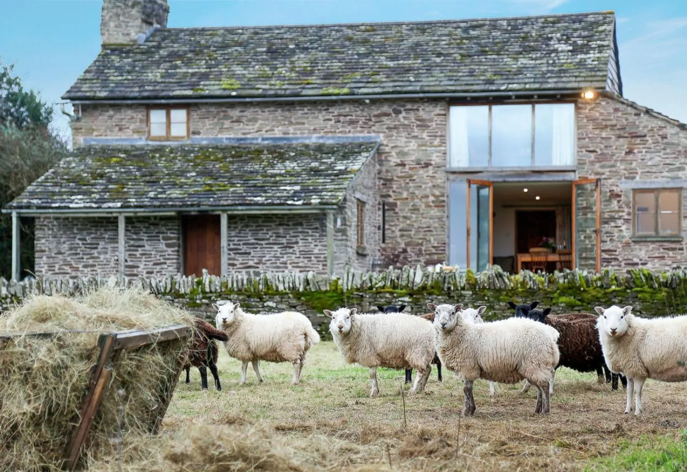 Llan-Y-Coed Farm Stay