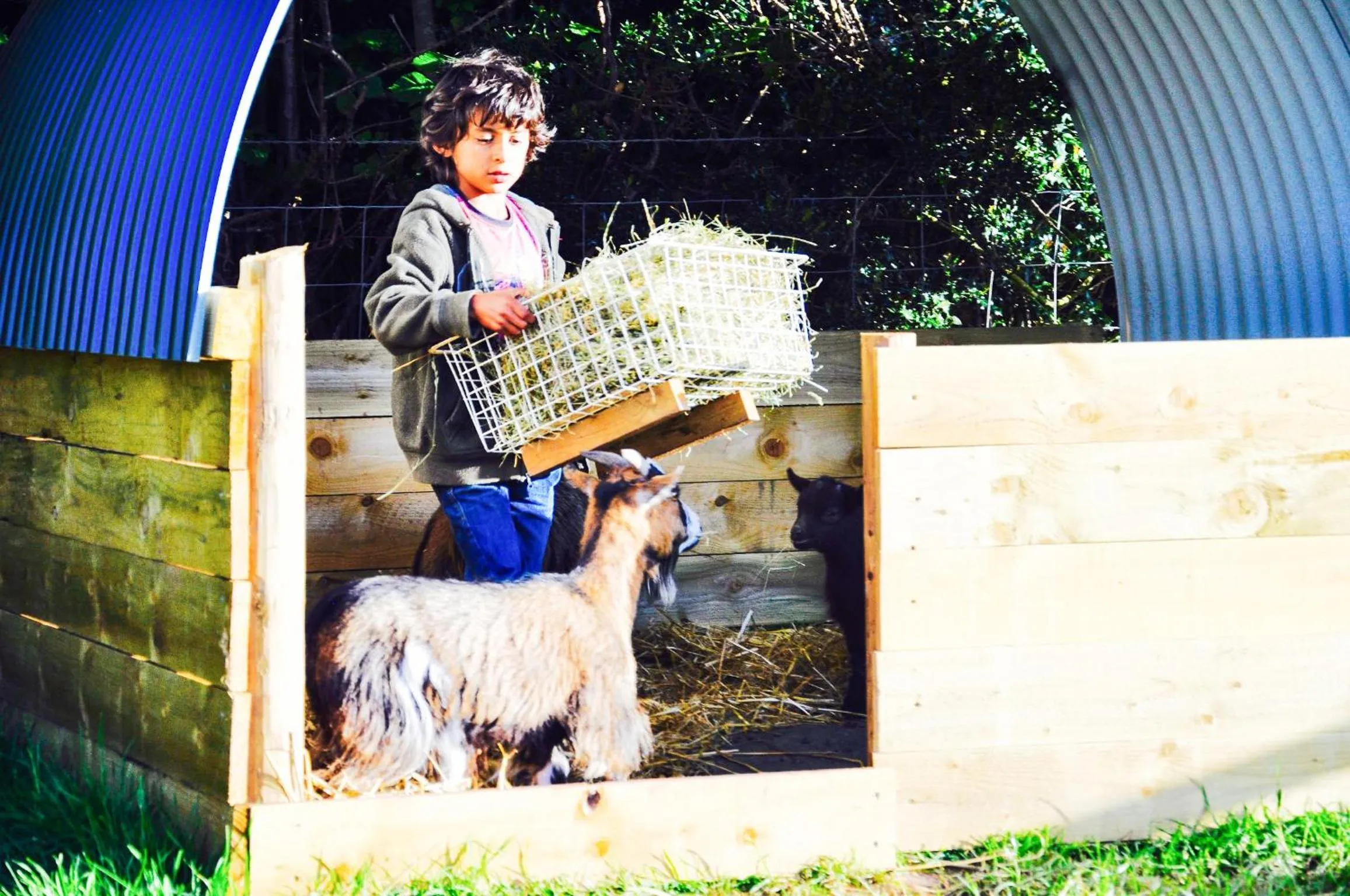 Activities in Drovers Rest Farm Stay