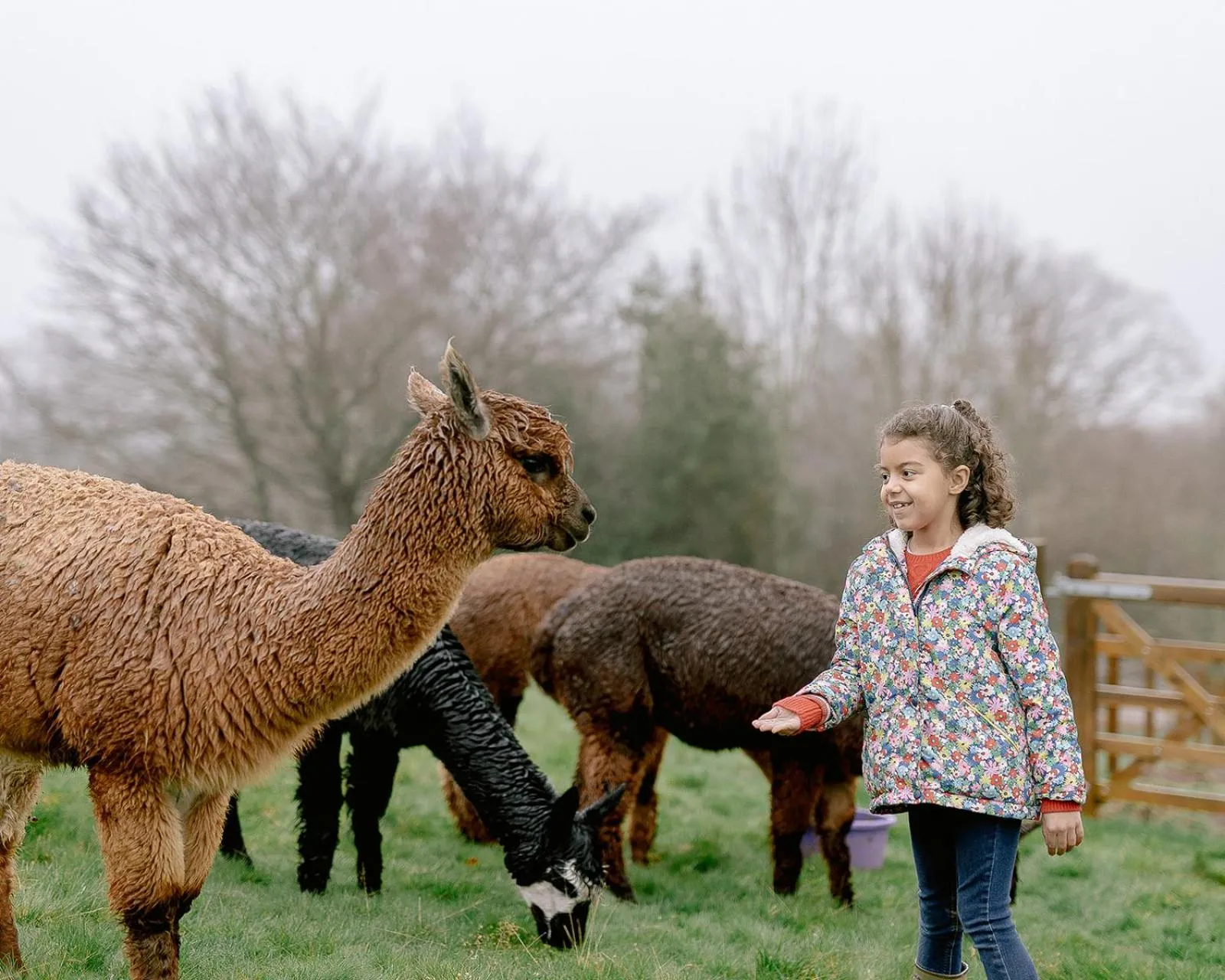 Drovers Rest Farm Stay