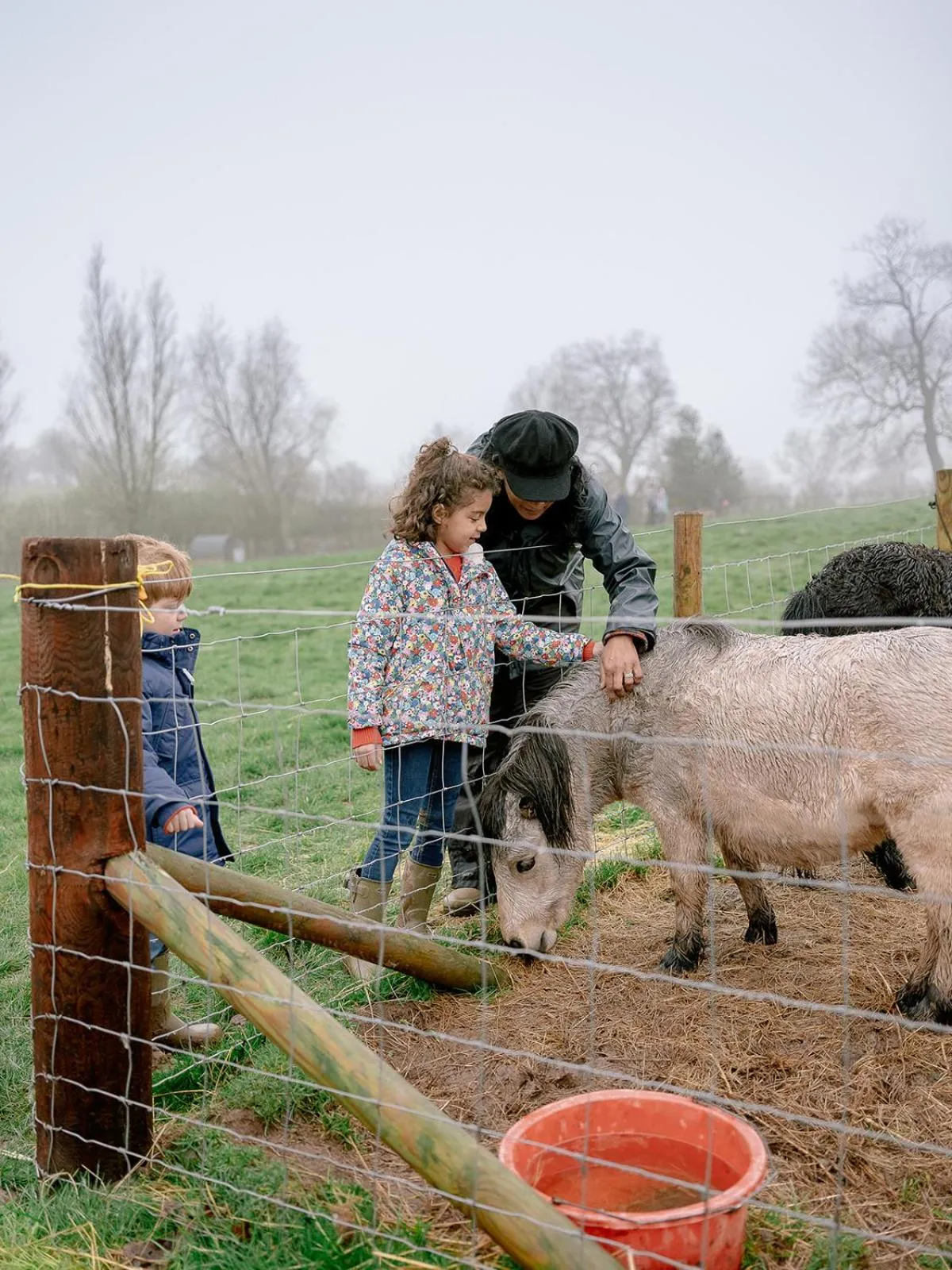 Drovers Rest Farm Stay