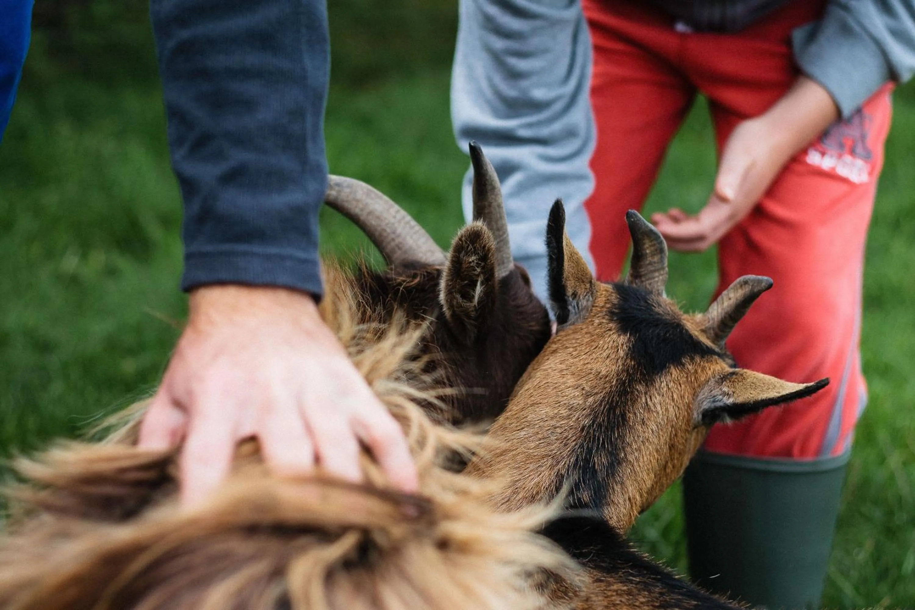 People in Drovers Rest Farm Stay