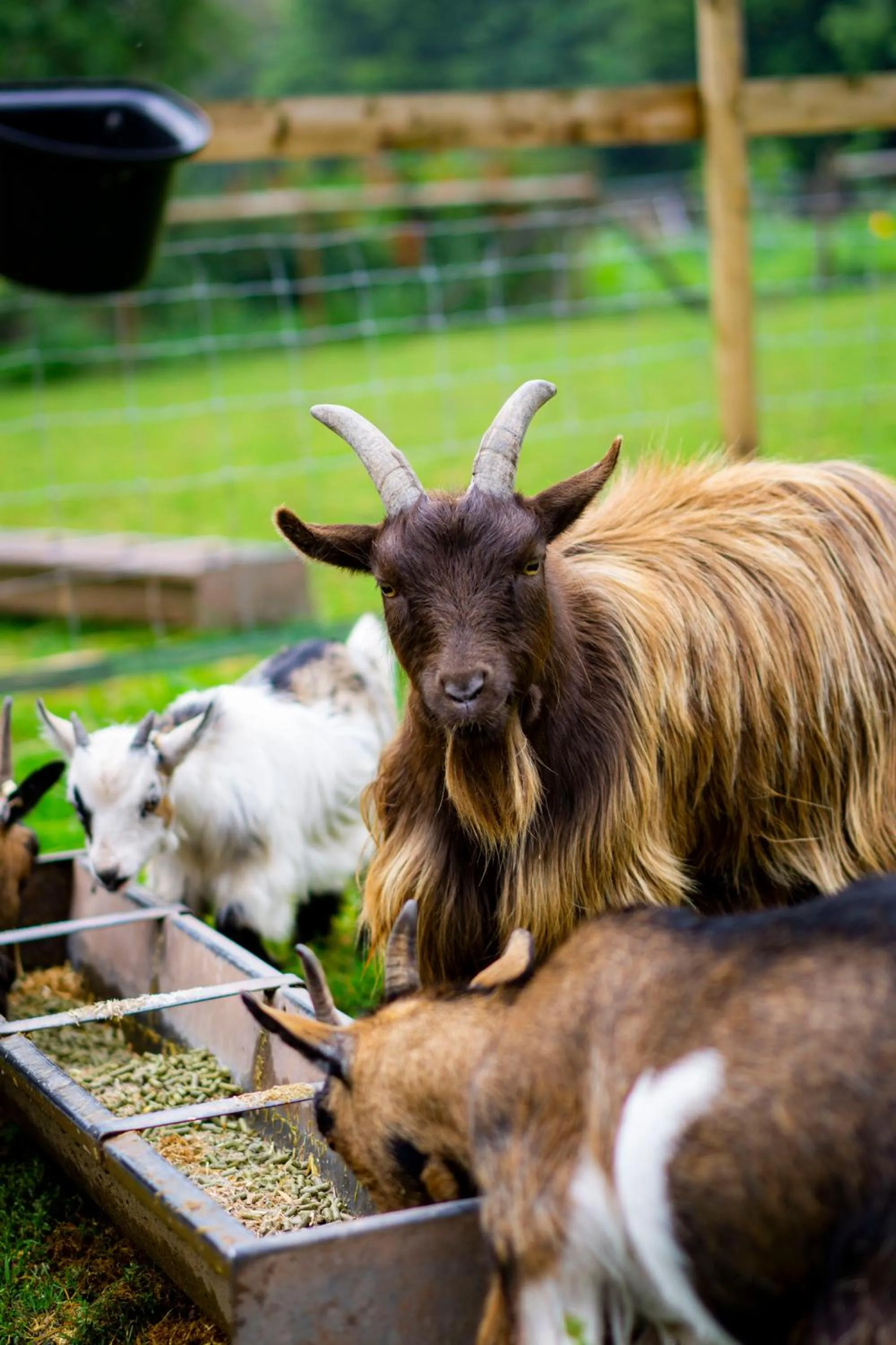 Drovers Rest Farm Stay