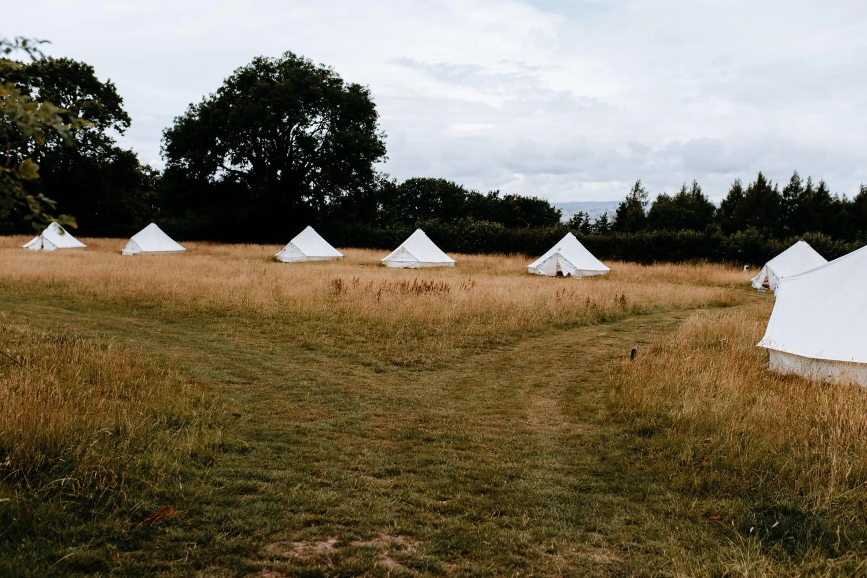 Day in Drovers Rest Farm Stay