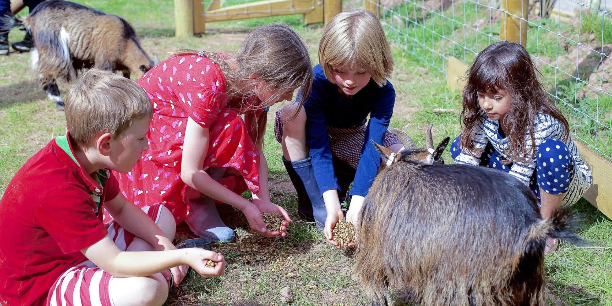 Activities in Drovers Rest Farm Stay