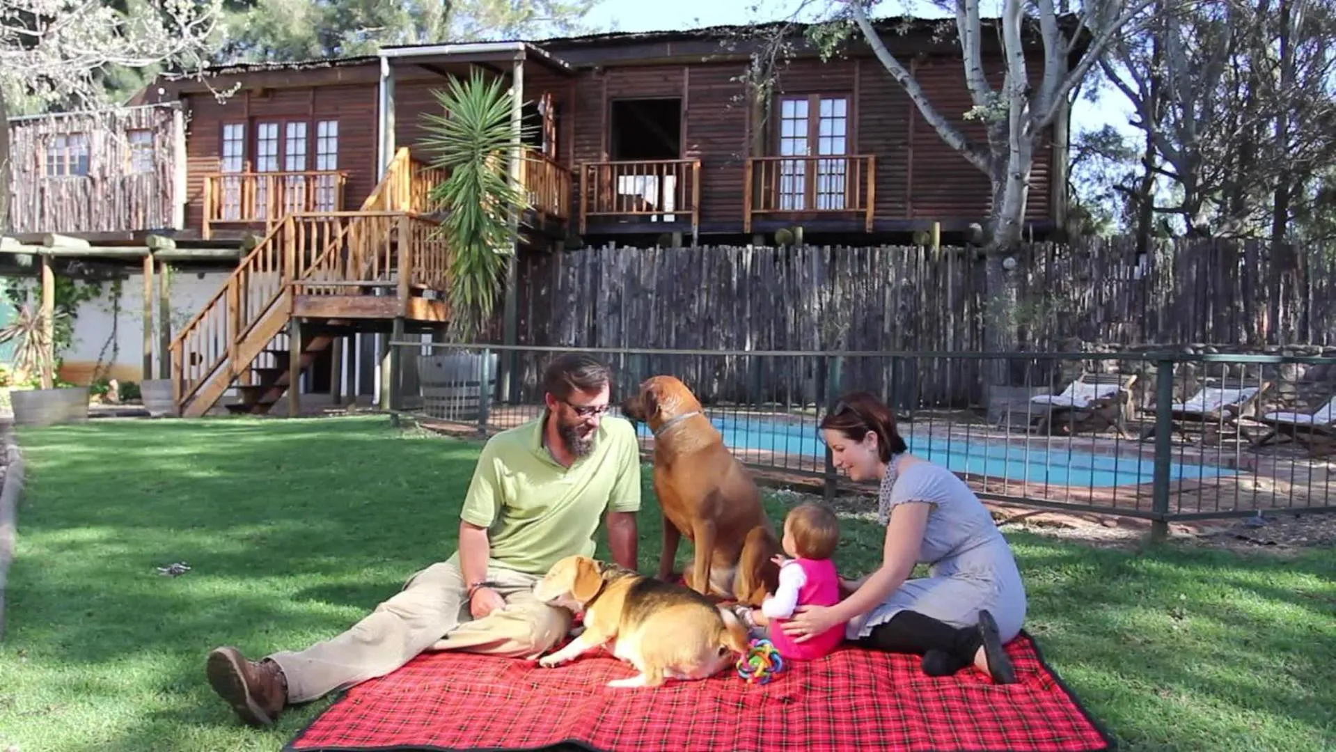 Family Tree House in Vindoux Tree House Guest Farm & Spa