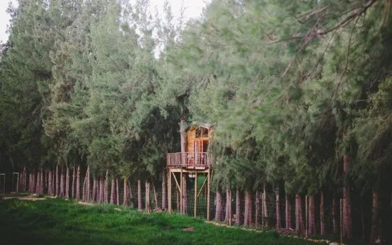 Vindoux Tree House Guest Farm & Spa Vindoux Tree House Guest Farm & Spa
