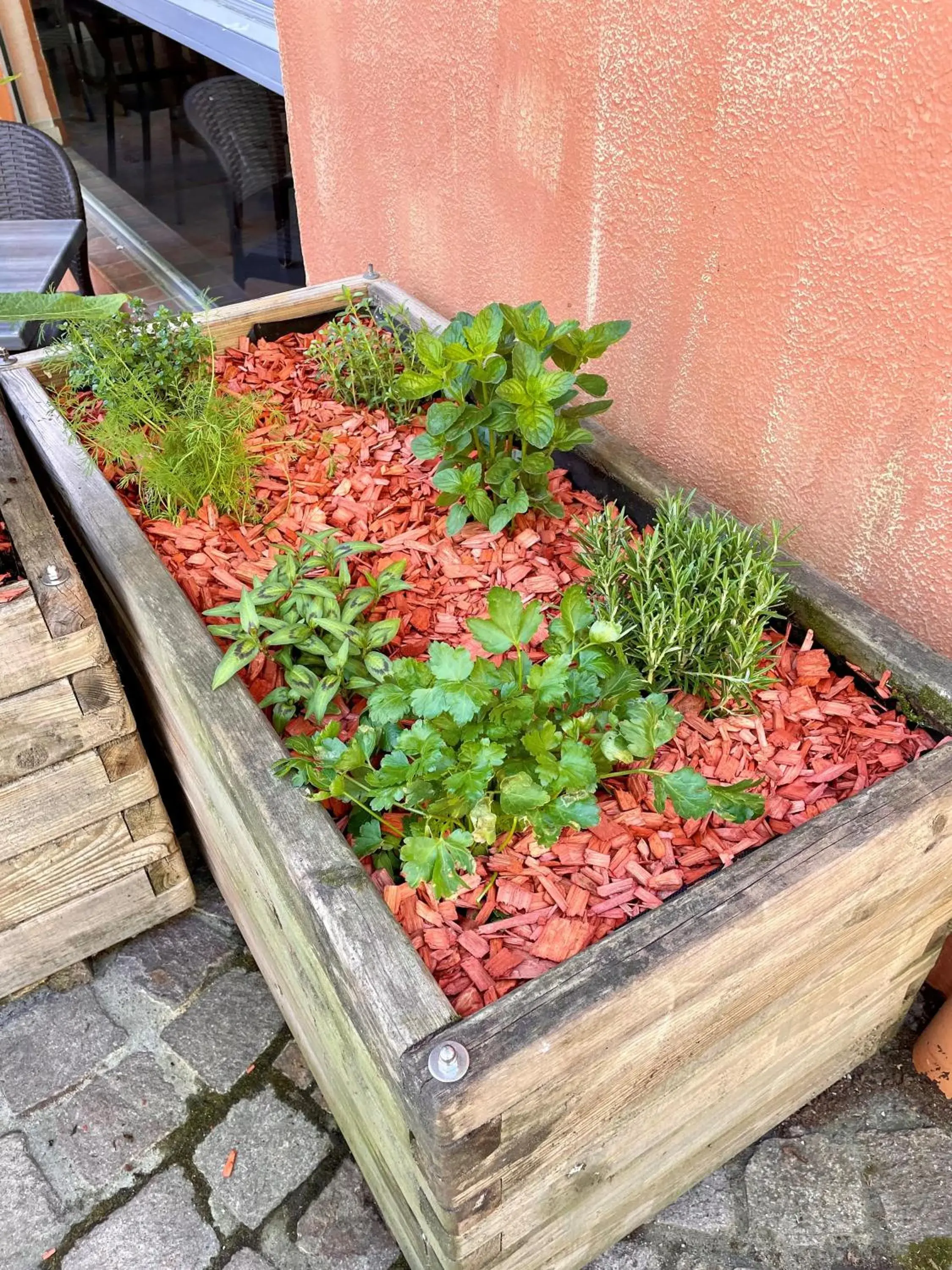 Restaurant/places to eat in Logis hotel Noemys Gradignan Restaurant/places to eat in Logis hotel Noemys Gradignan