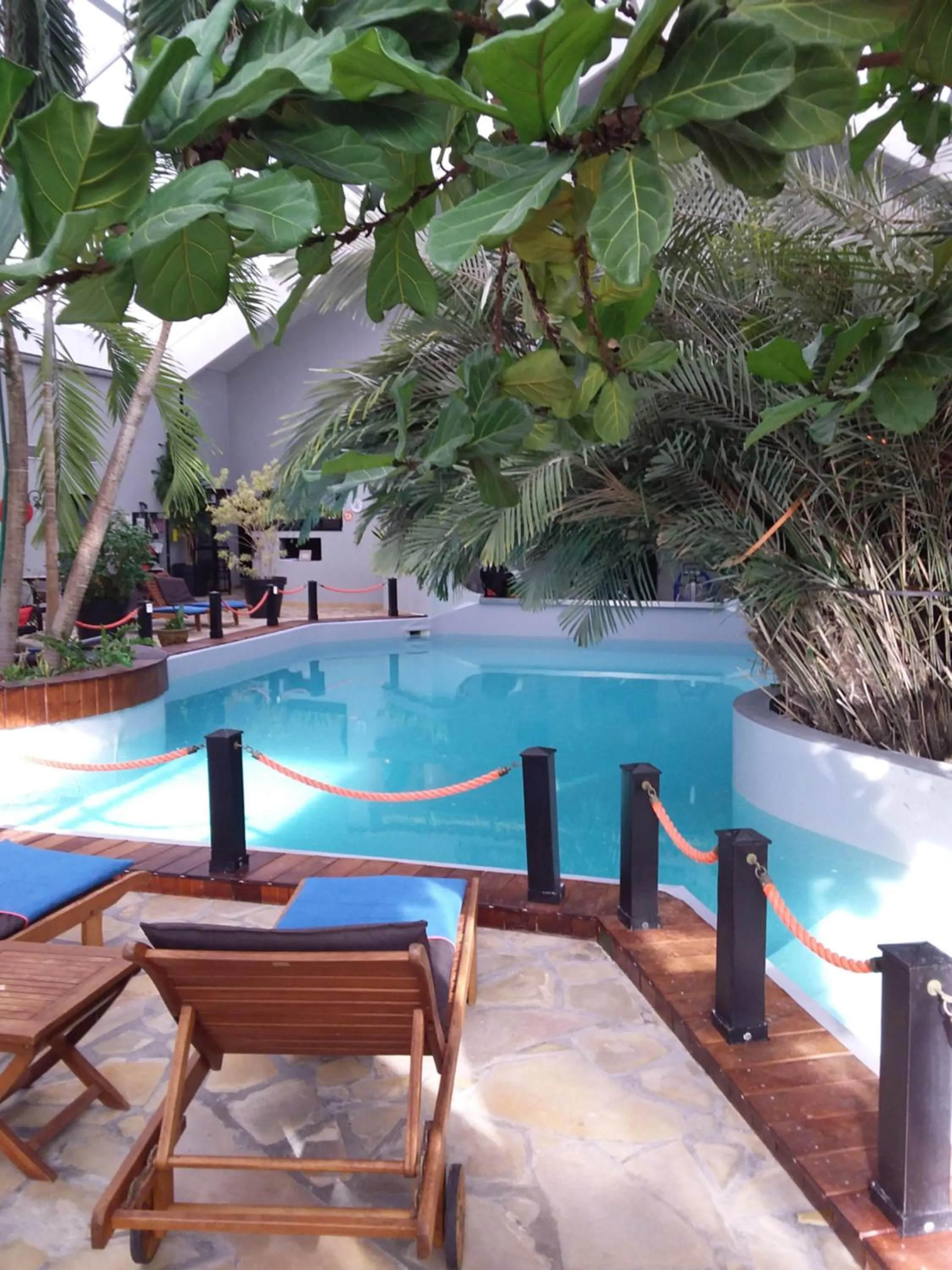 Swimming pool in Tropical Hotel