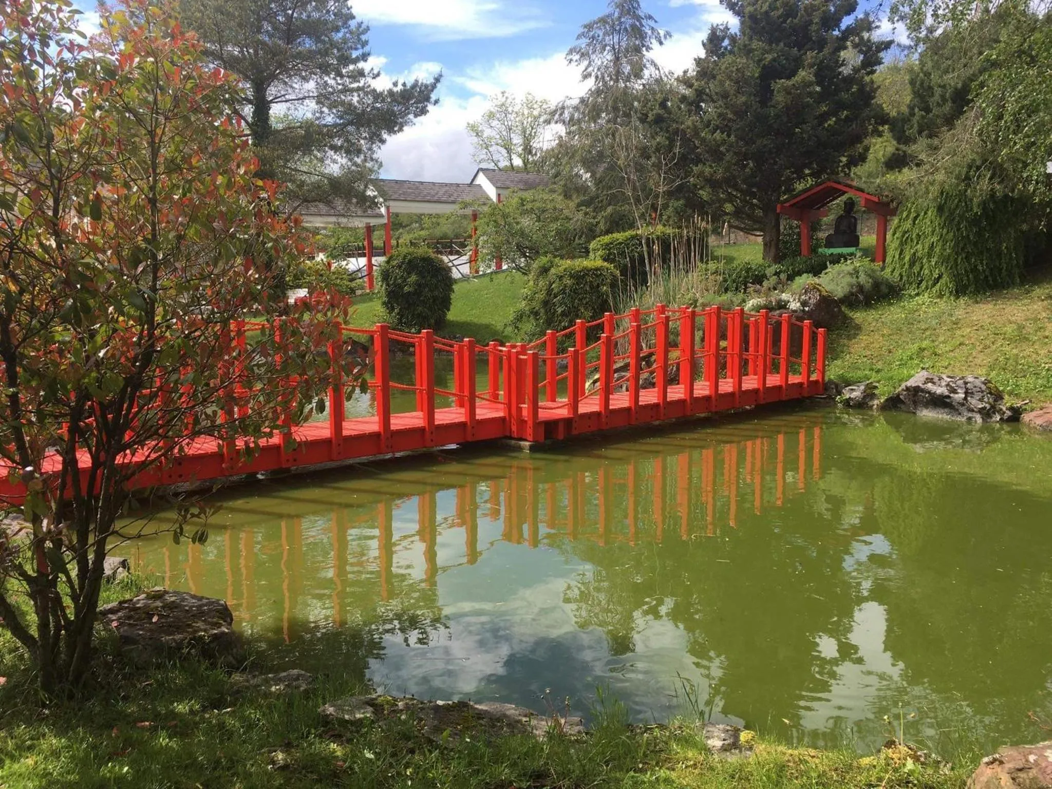 Garden in Tropical Hotel