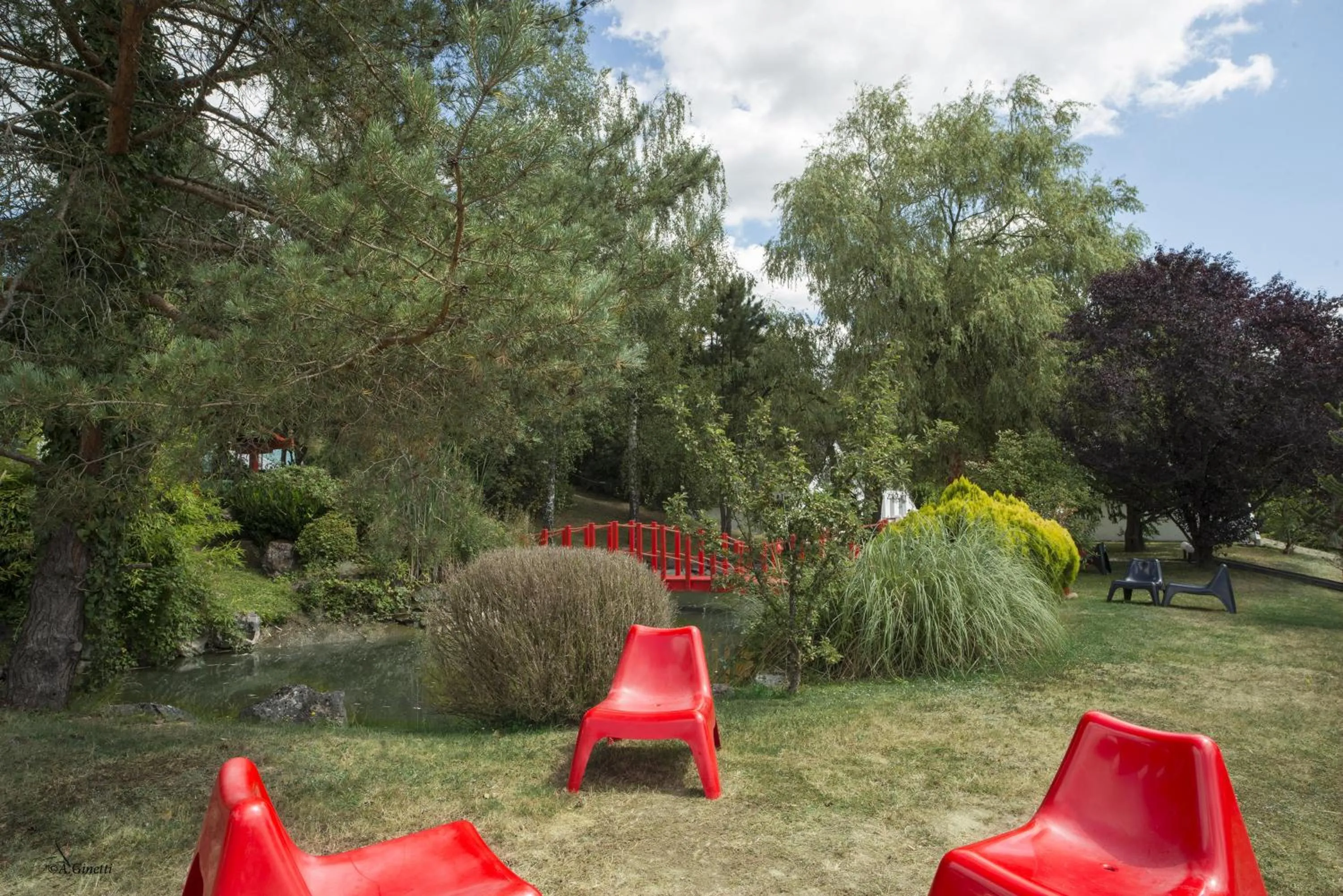 Garden in Tropical Hotel
