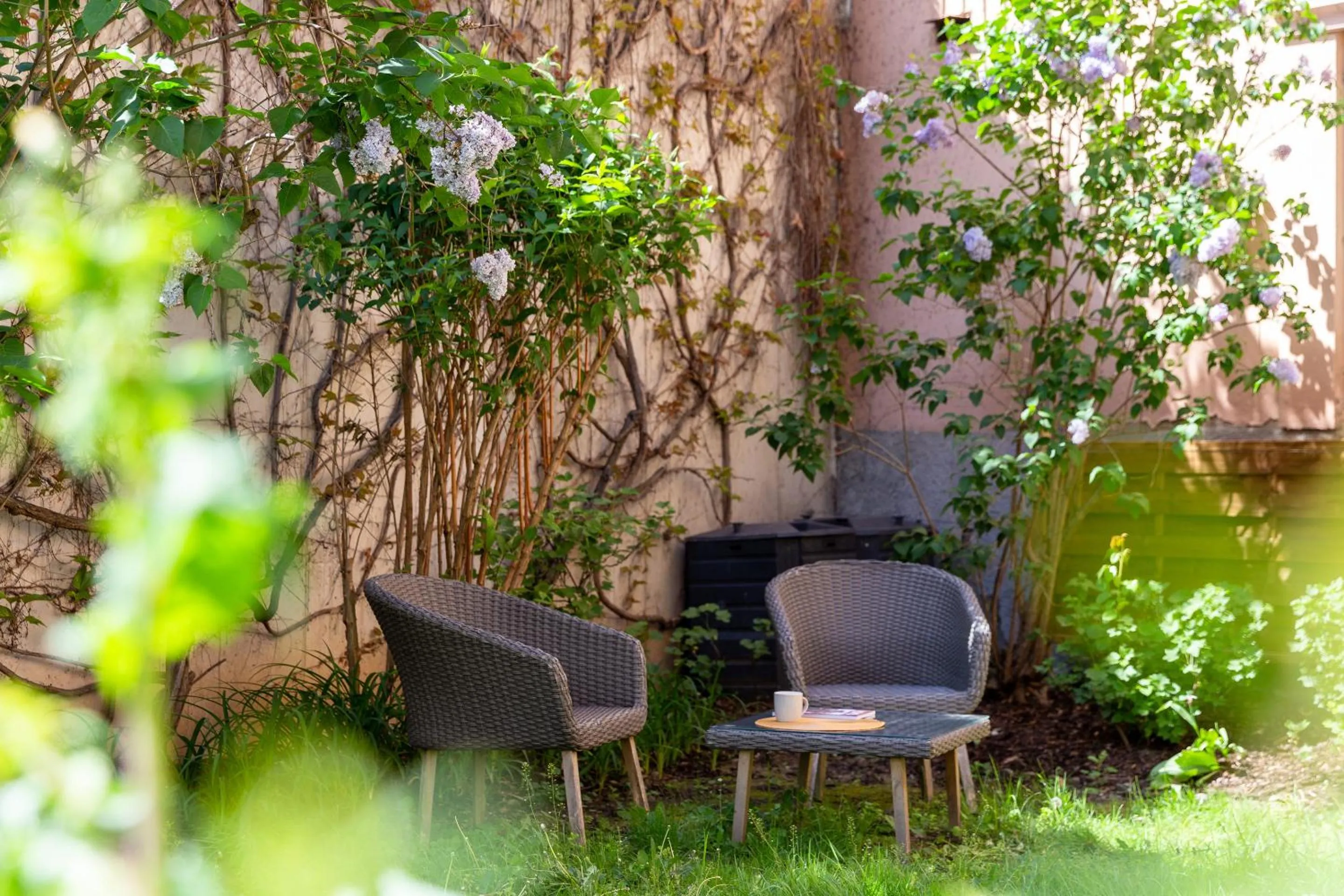 Garden in Appartement Luxueux Centre Ville