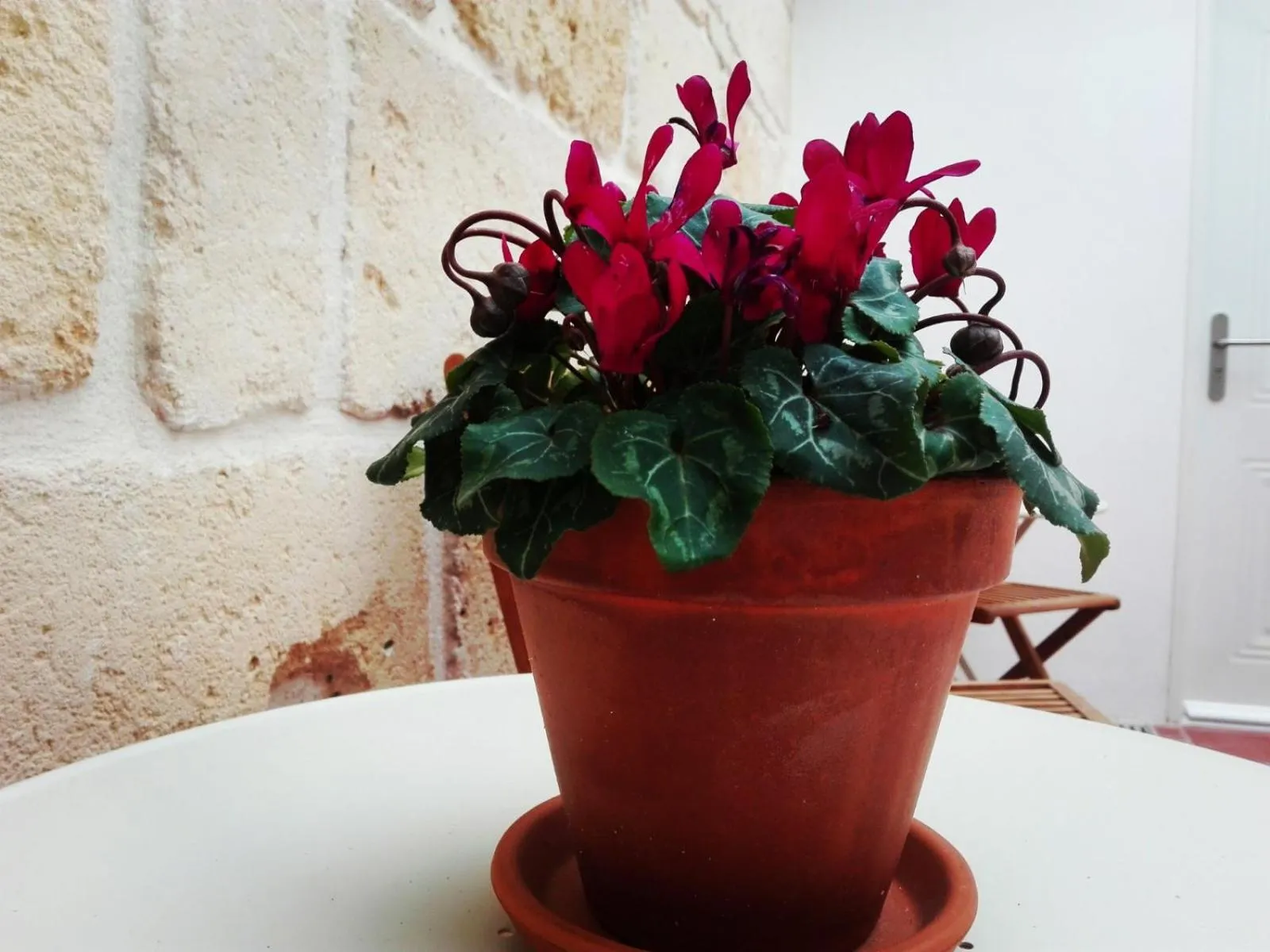 Balcony/Terrace in My Rooms Ciutadella Adults Only by My Rooms Hotels TI