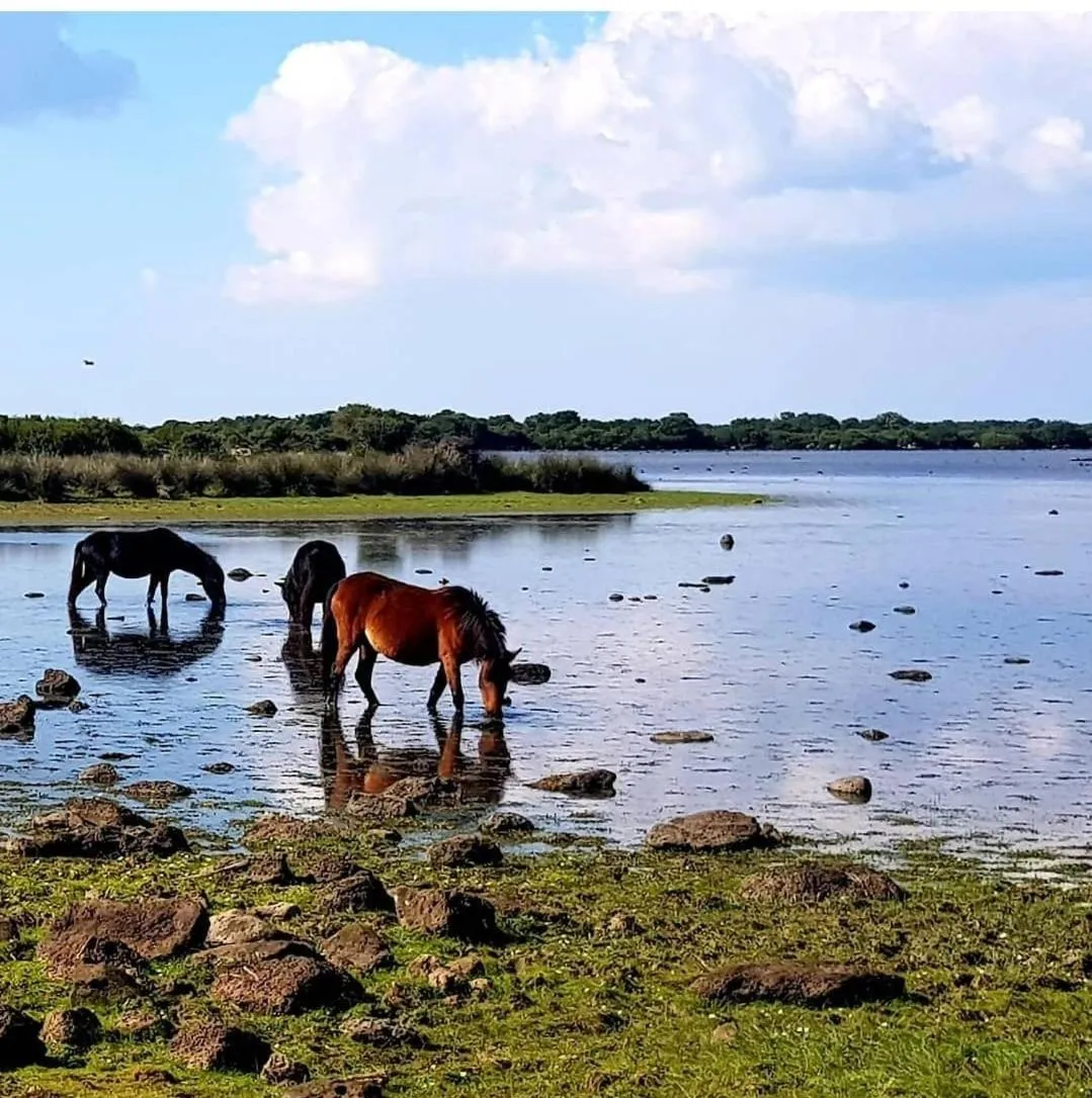 Casa Susanna Rural Sardinia