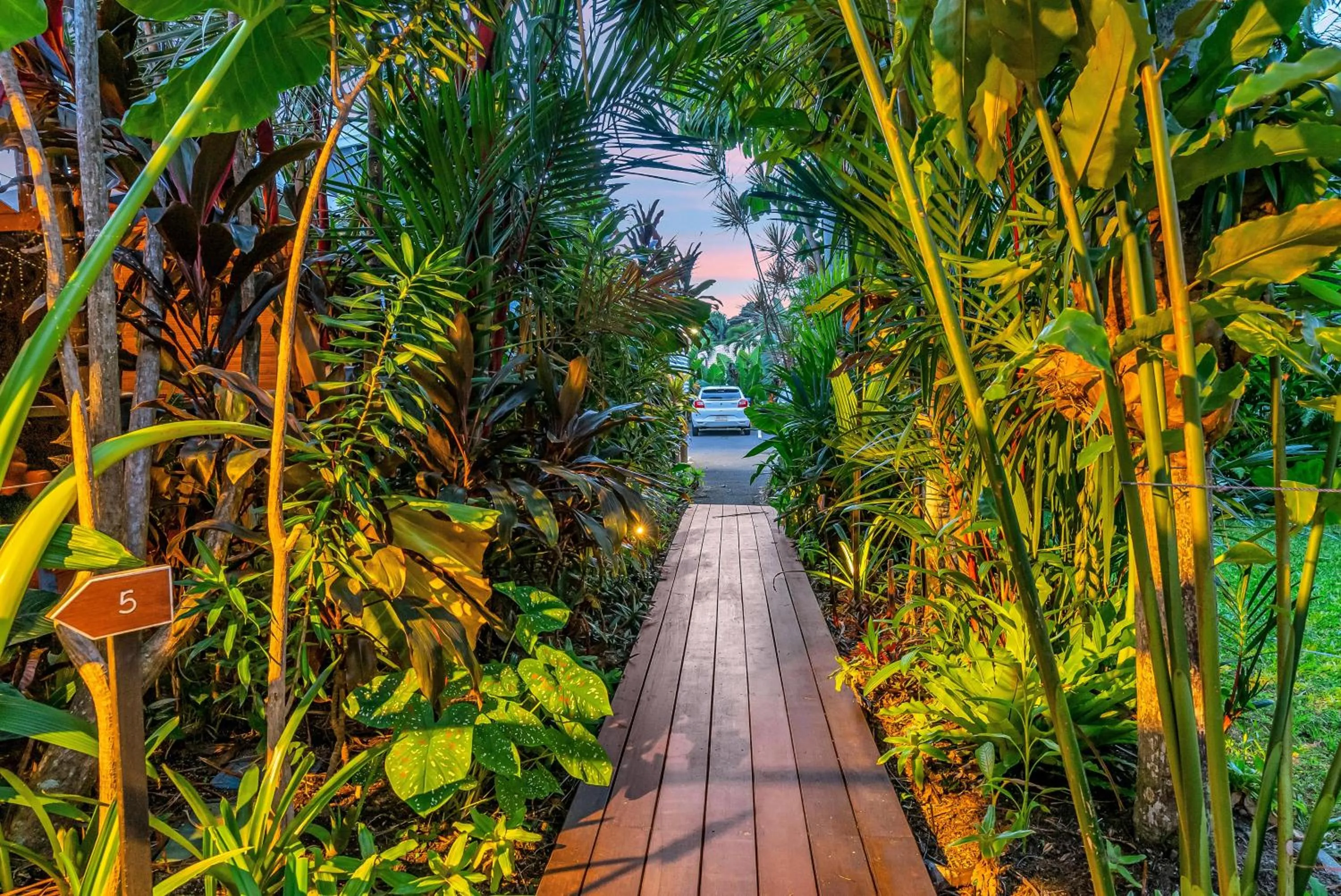 Natural landscape in The Palms At Palm Cove
