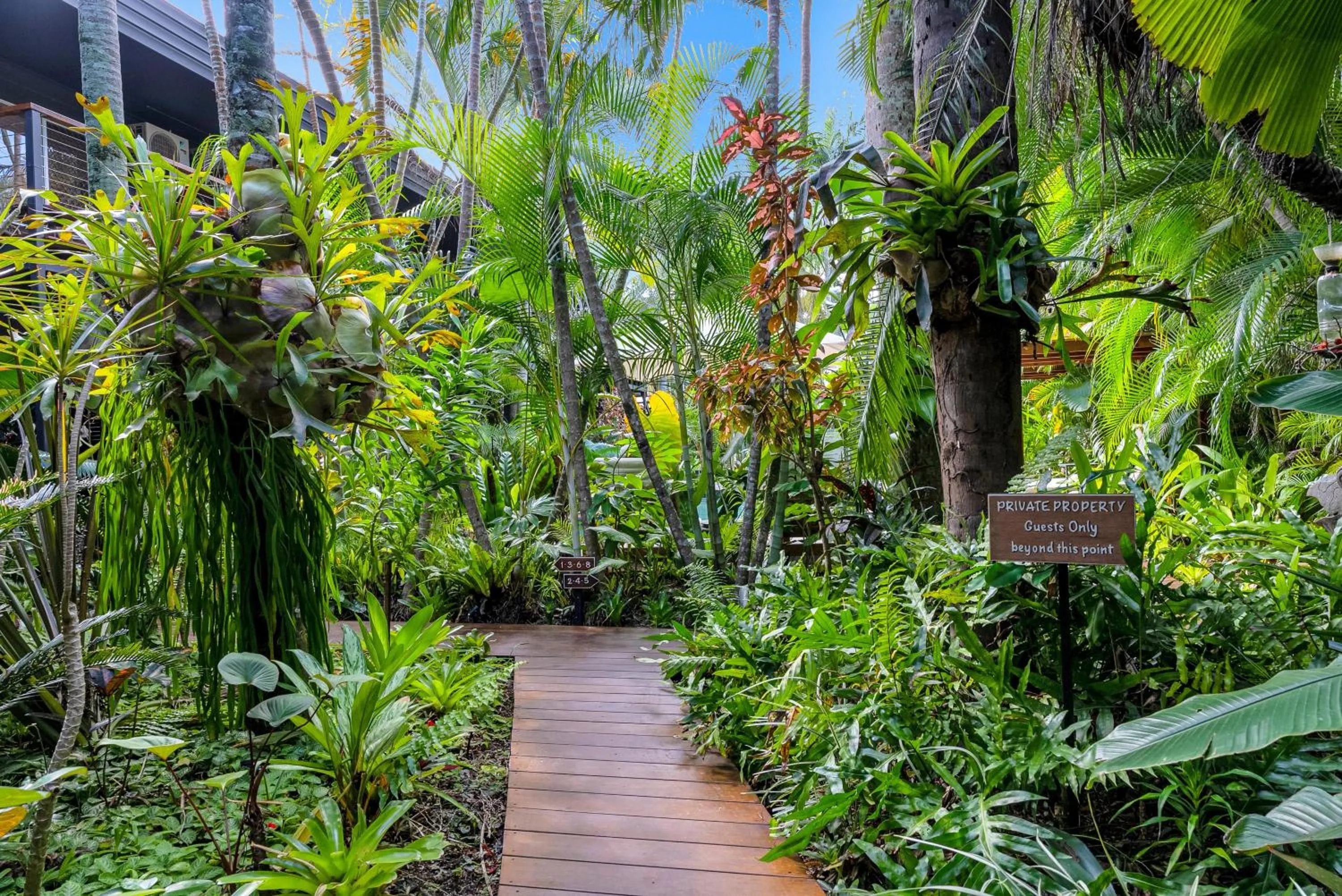 Garden in The Palms At Palm Cove