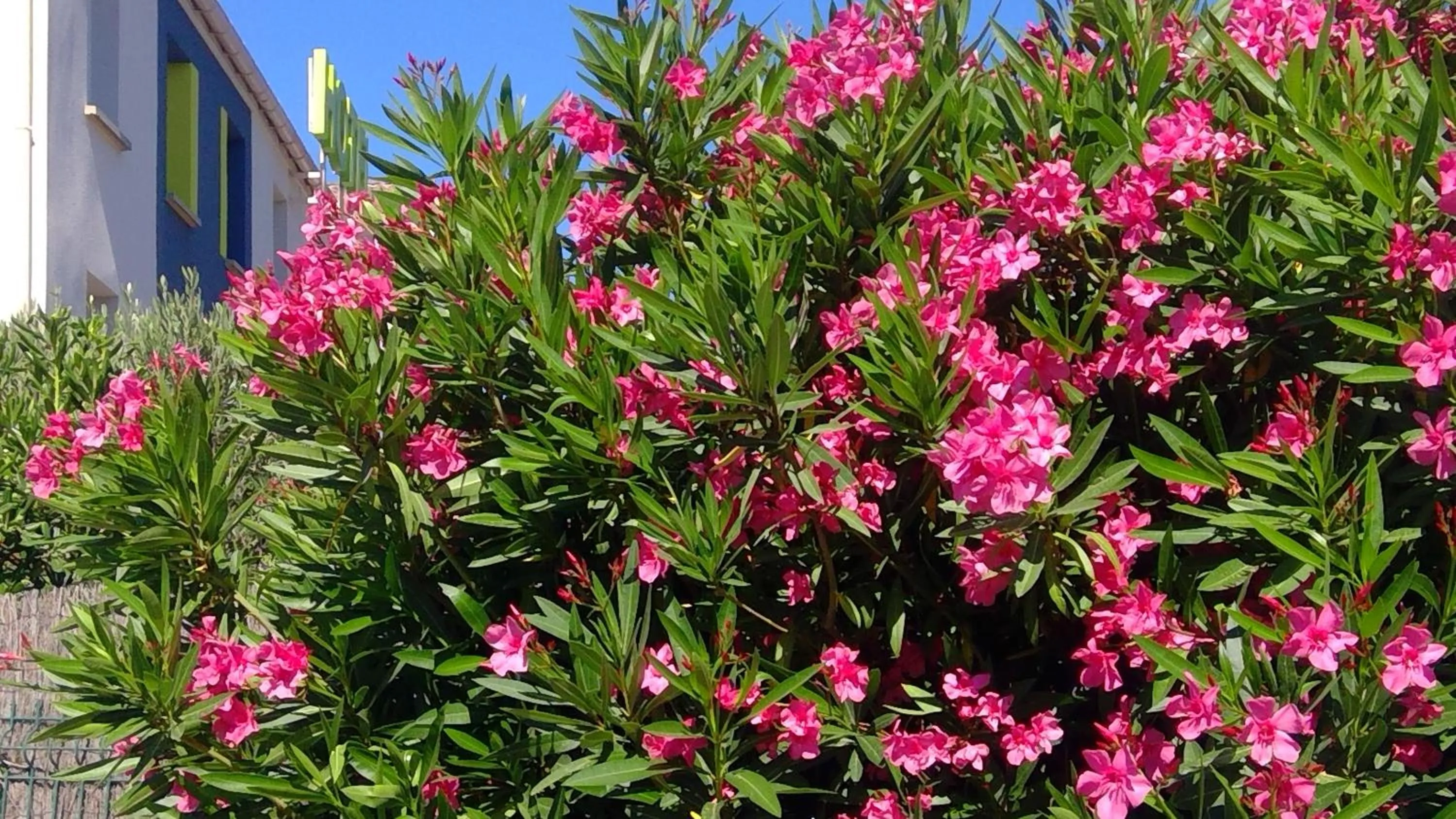 Property building in B&B HOTEL Toulon Ollioules