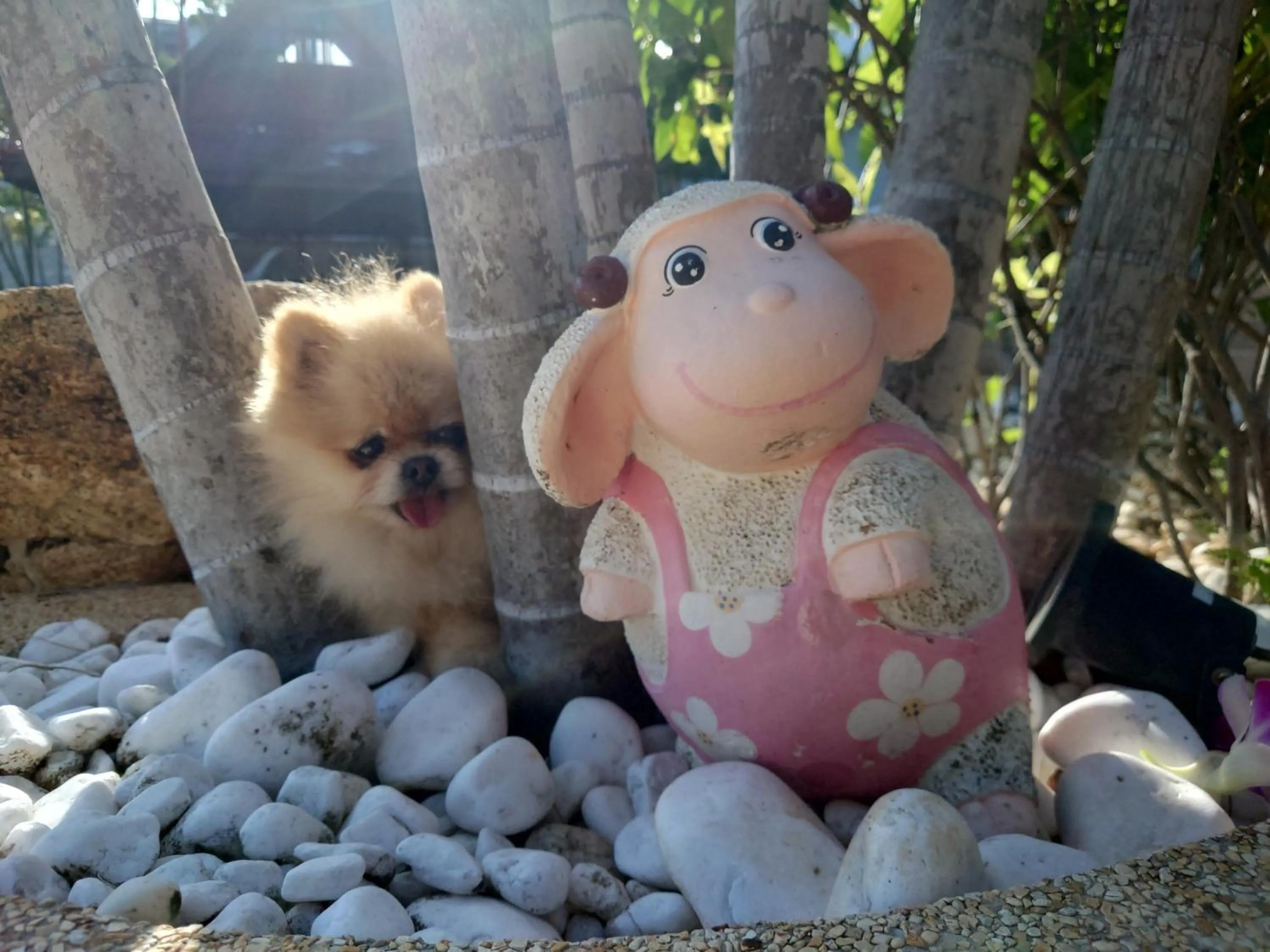 Garden in Samui Little Garden Resort