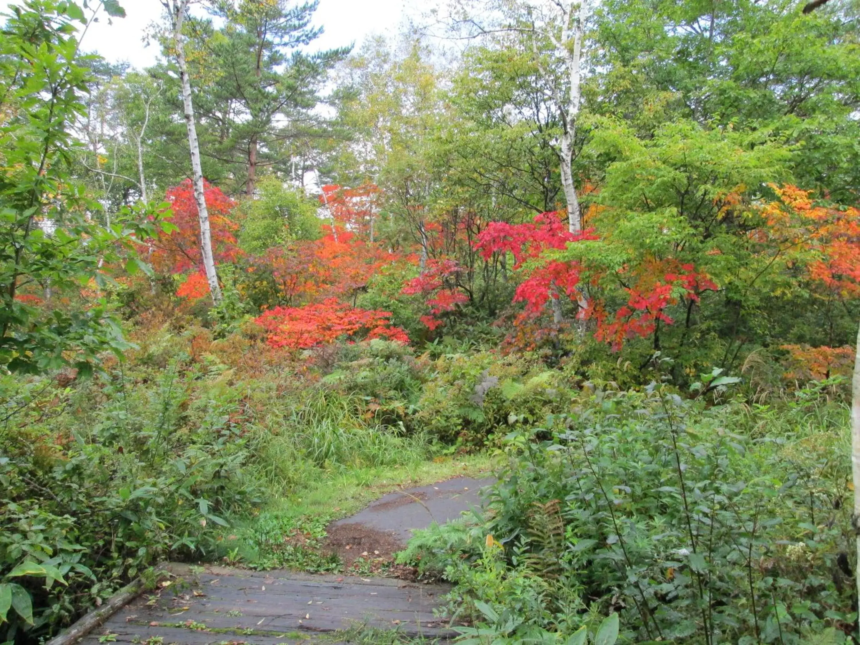 Shiga No Yu Hotel Shiga No Yu Hotel