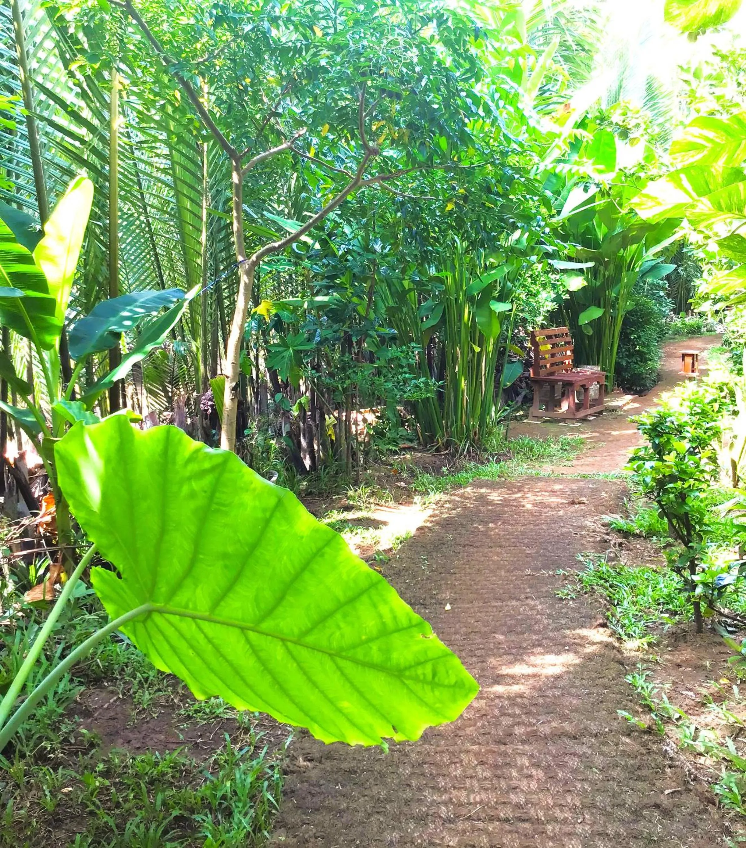 Neighbourhood in Ben Tre Farm Stay