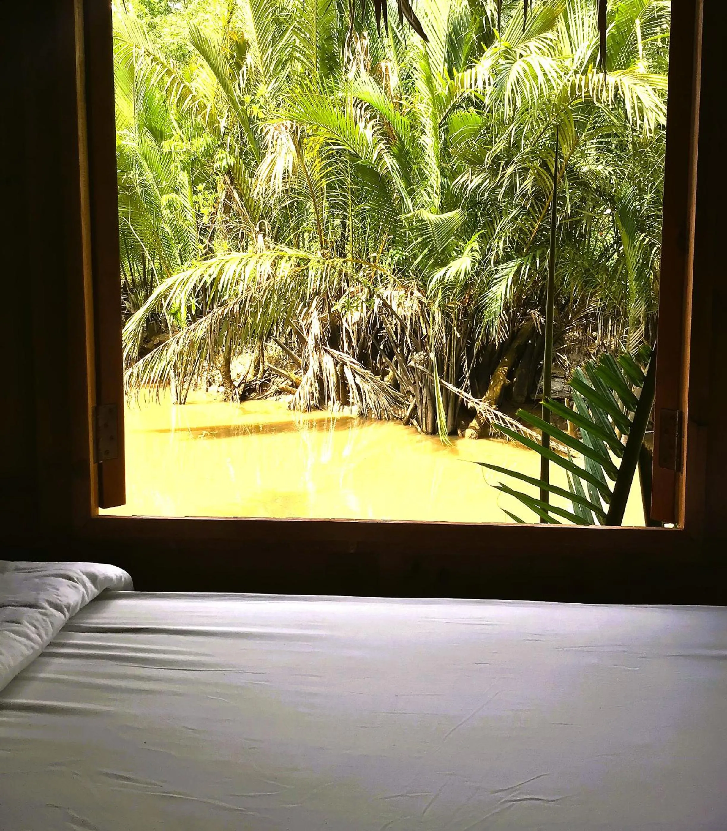 Natural landscape, Bed in Ben Tre Farm Stay