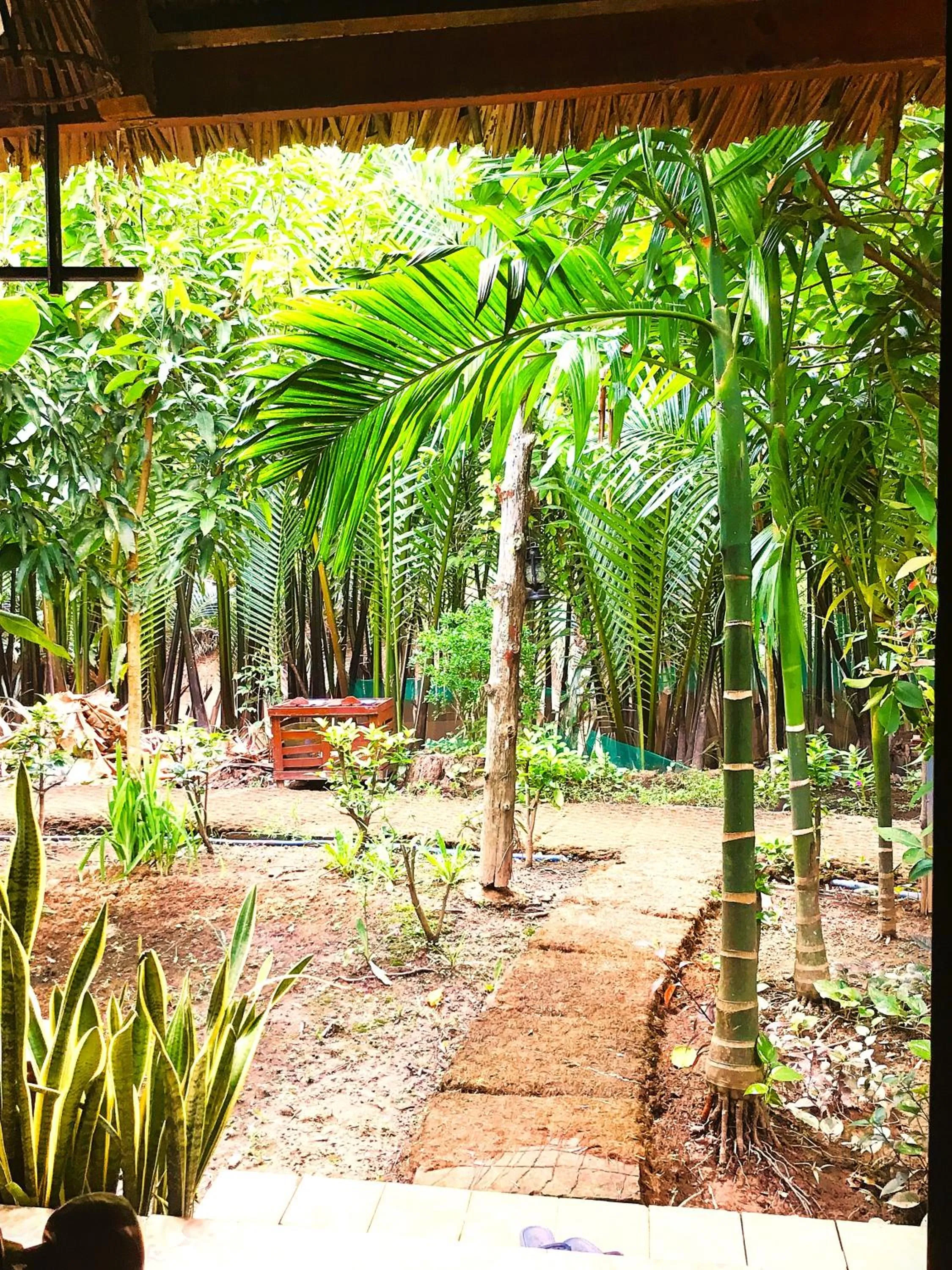 Neighbourhood in Ben Tre Farm Stay
