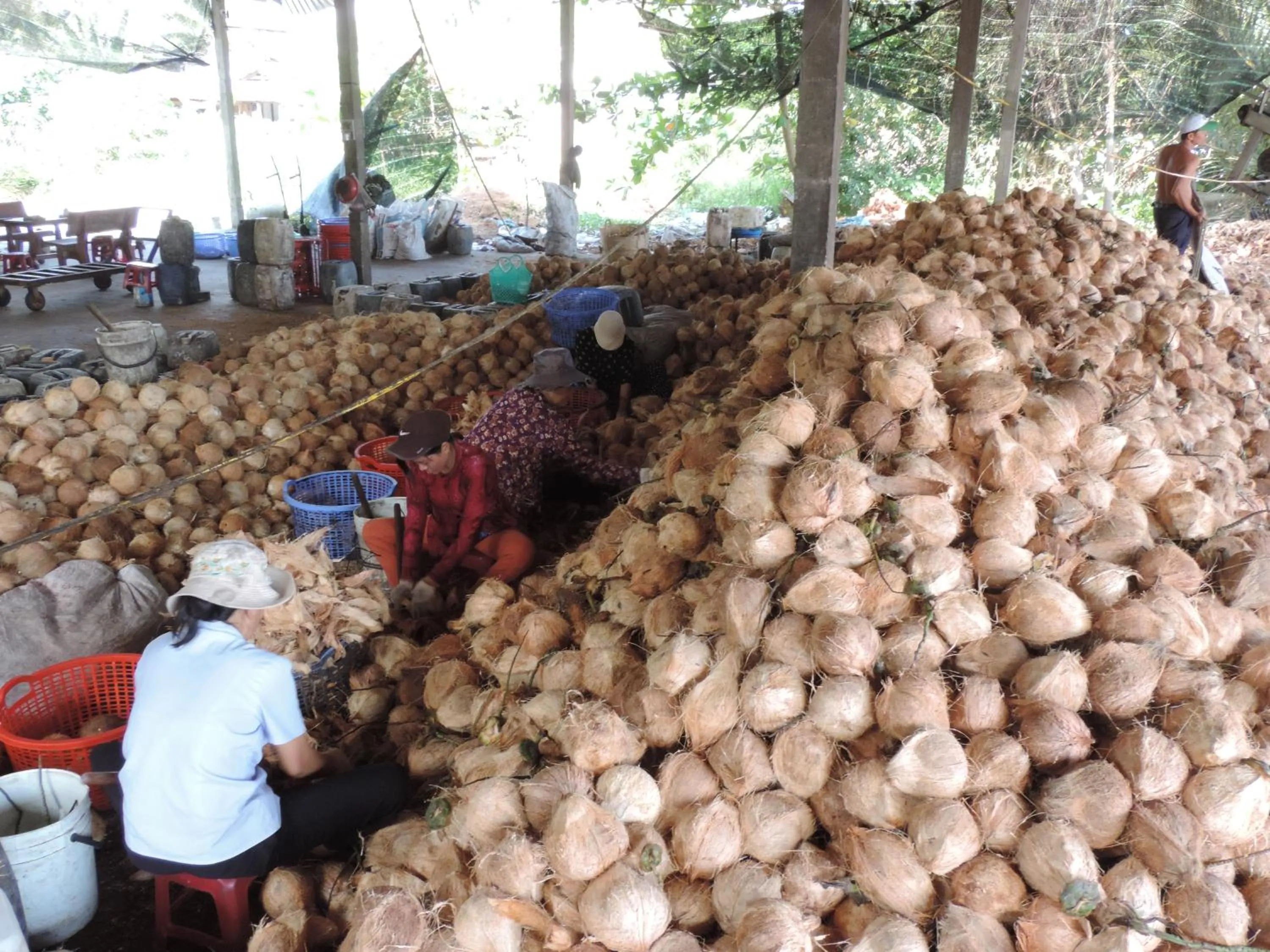 People in Ben Tre Farm Stay