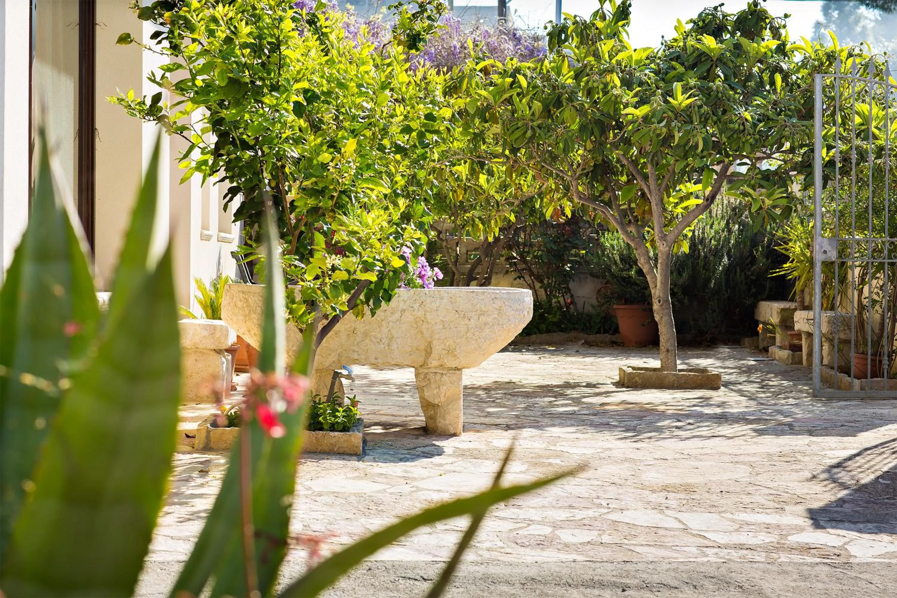 Facade/entrance in Hotel Terra degli Elimi